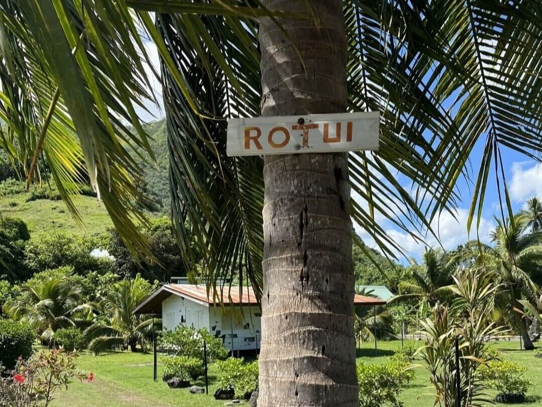 Mount Rotui Hiking Trail: Best Hike in Moorea