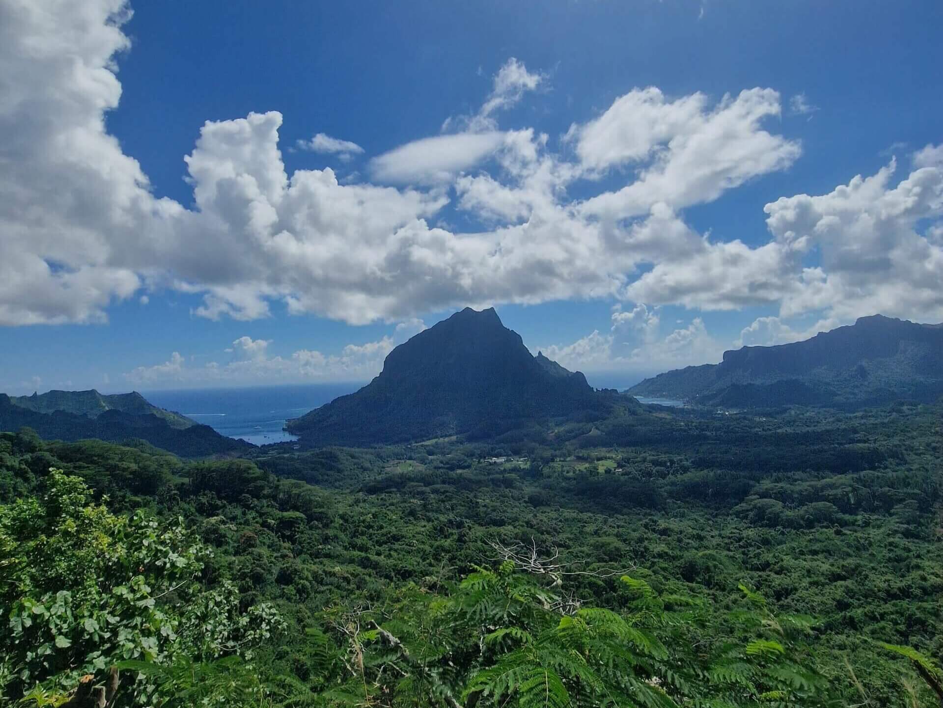 Best Hiking Trail in Moorea: Three Coconuts Pass (Col Des Trois Cocotiers)