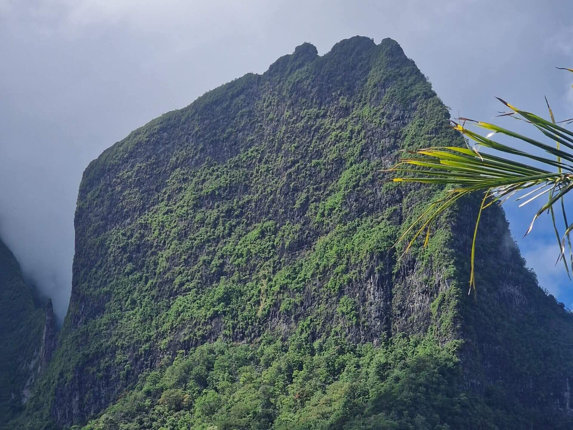 Best Hiking Trail in Moorea: Three Coconuts Pass (Col Des Trois Cocotiers)