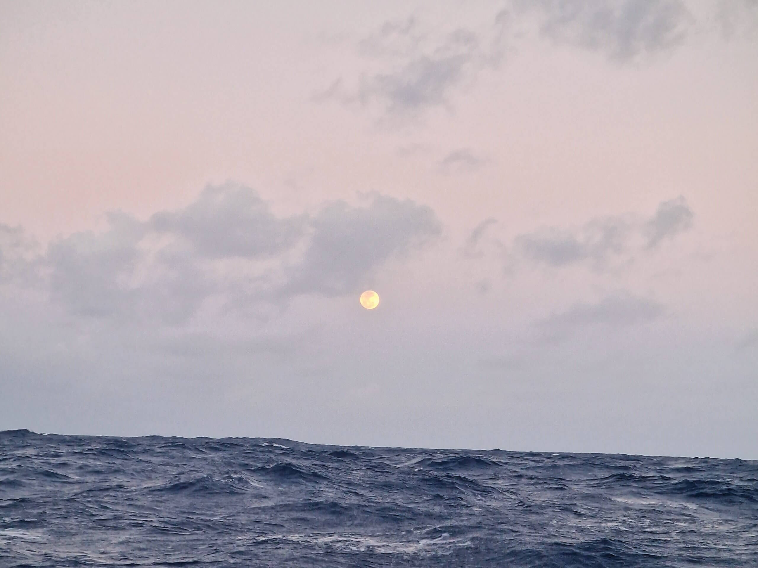 Letters From Polynesia: The Vomit Fest