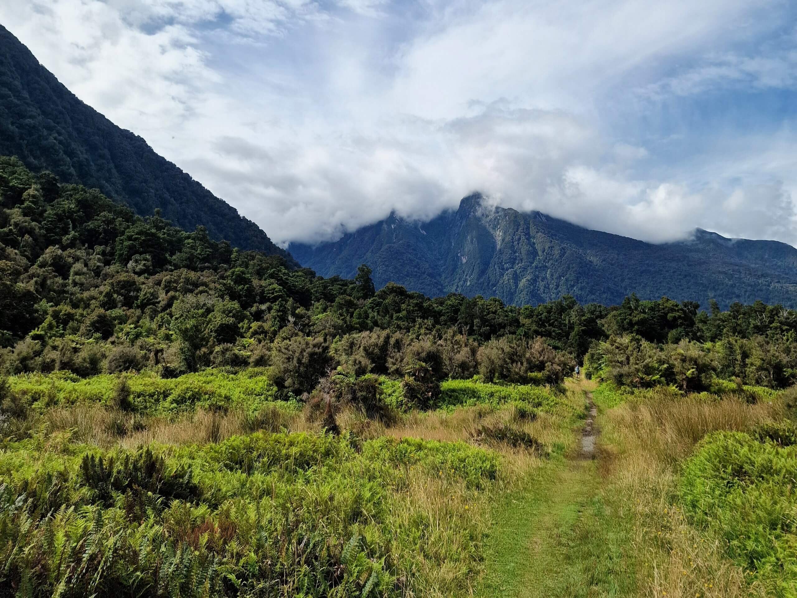 Copland Track to Welcome Flat Hut