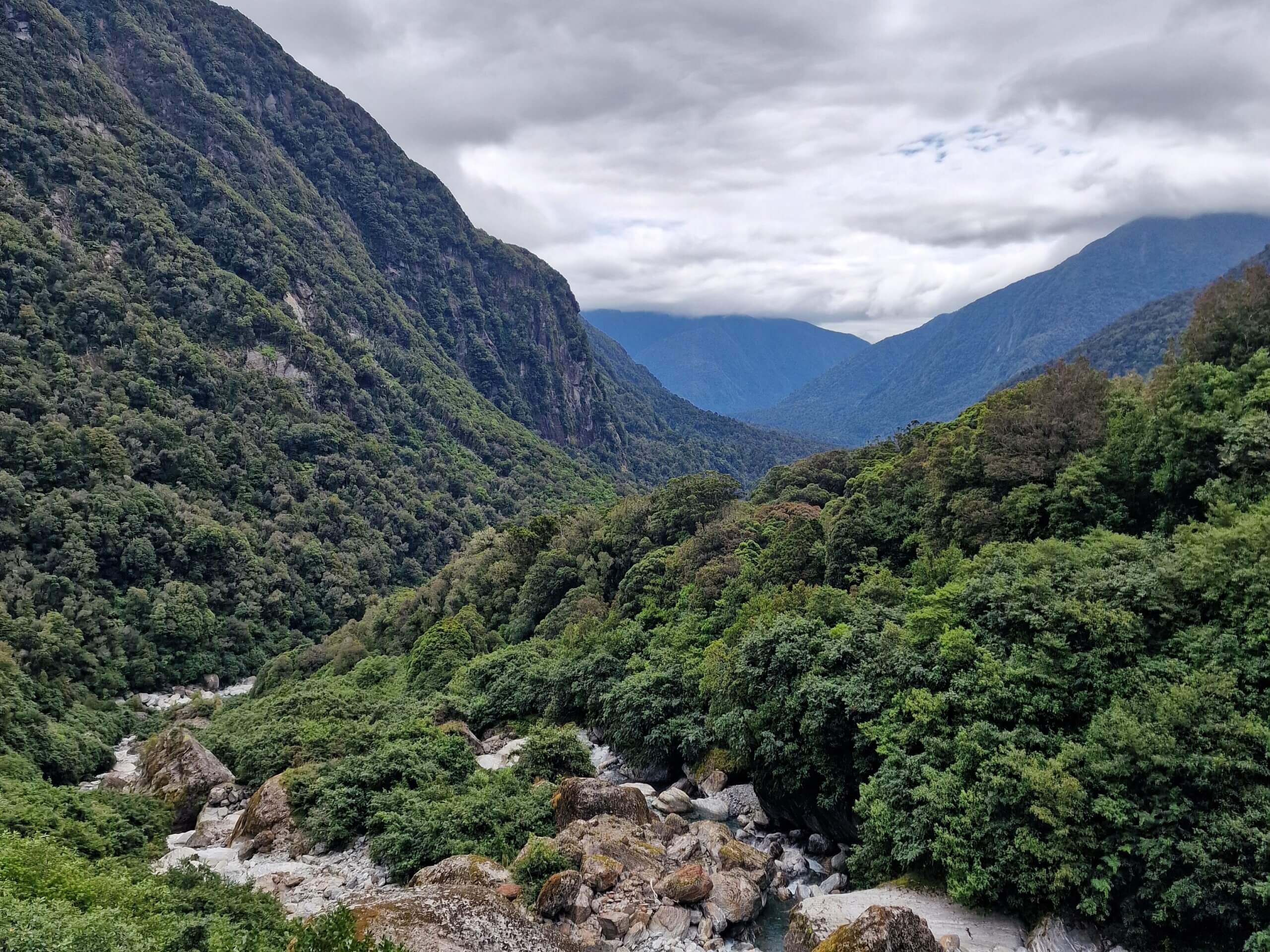 Copland Track to Welcome Flat Hut (2024): Ultimate Hiking Guide