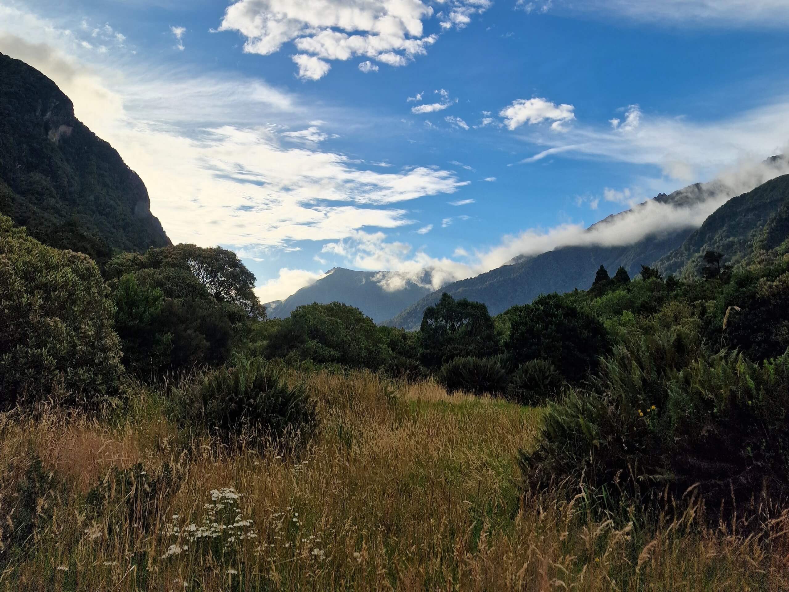 Copland Track to Welcome Flat Hut