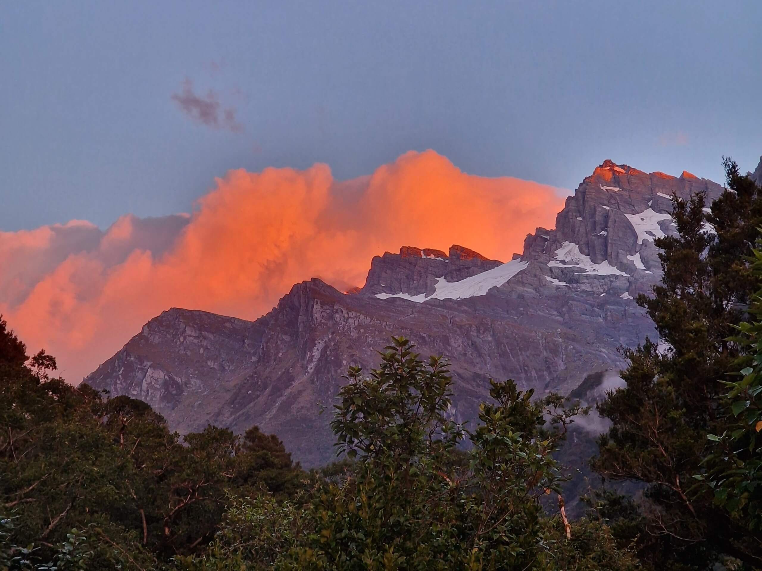 Copland Track to Welcome Flat Hut: Ultimate Hiking Guide (2024)