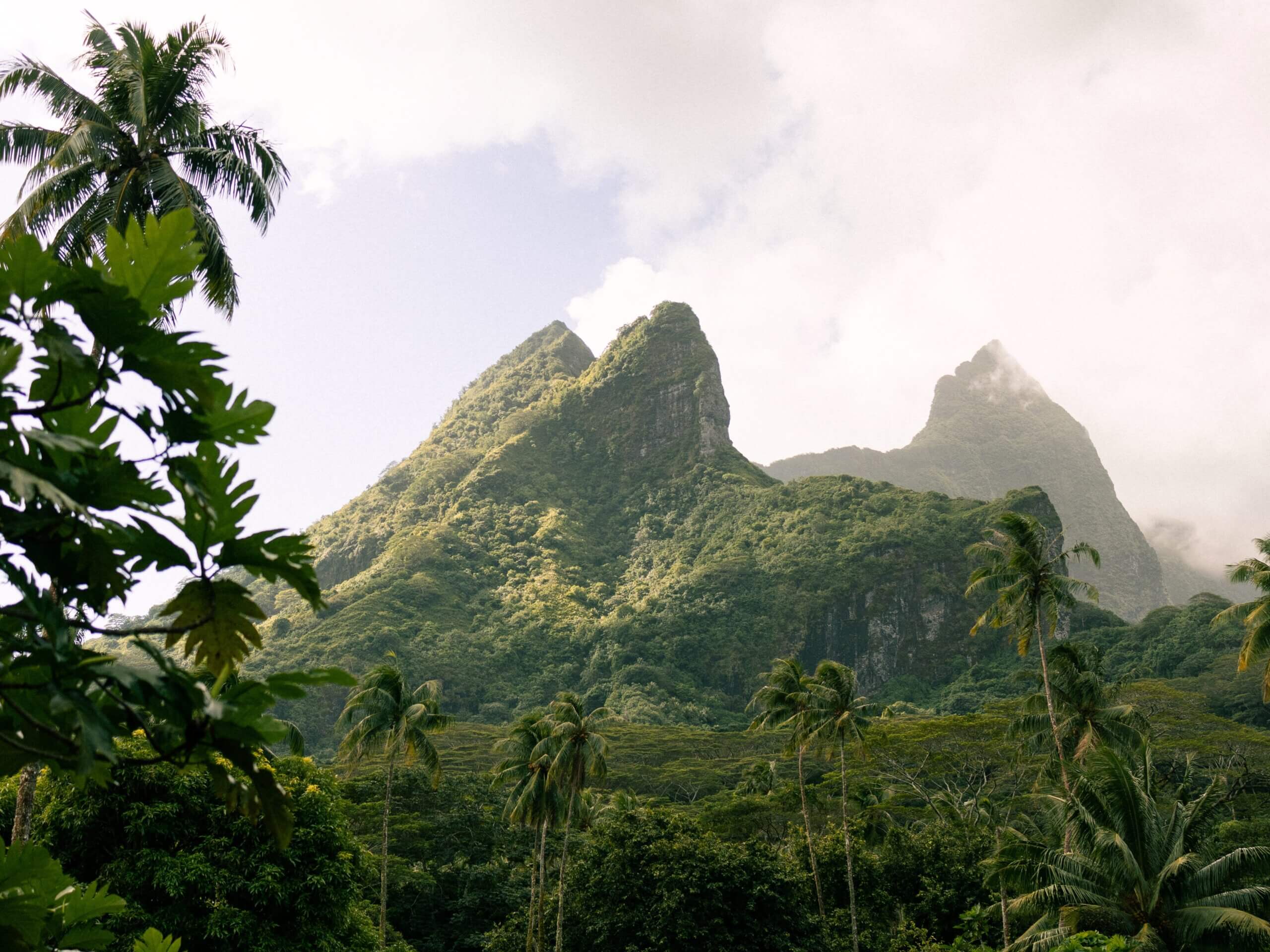 Taha'a Bicycle Guide: Ultimate One Day Itinerary, French Polynesia