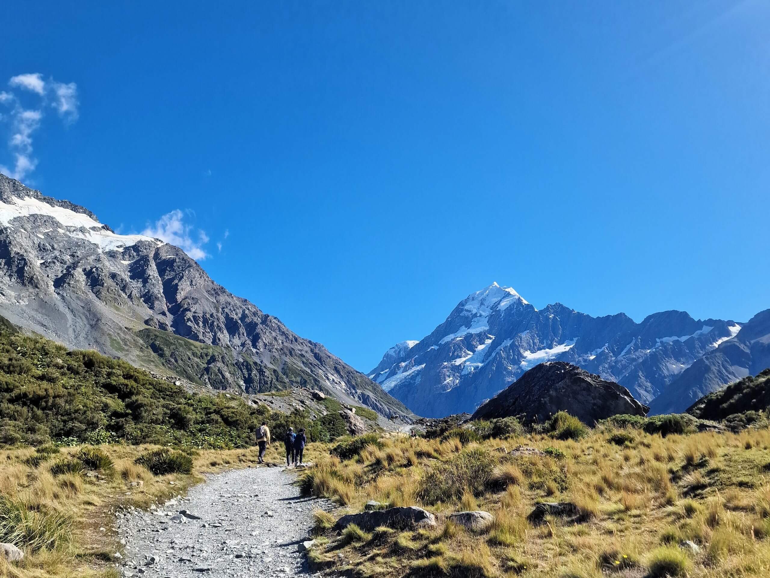 Sefton Bivouac Track: Best Hike in Aoraki/Mount Cook National Park (2024)