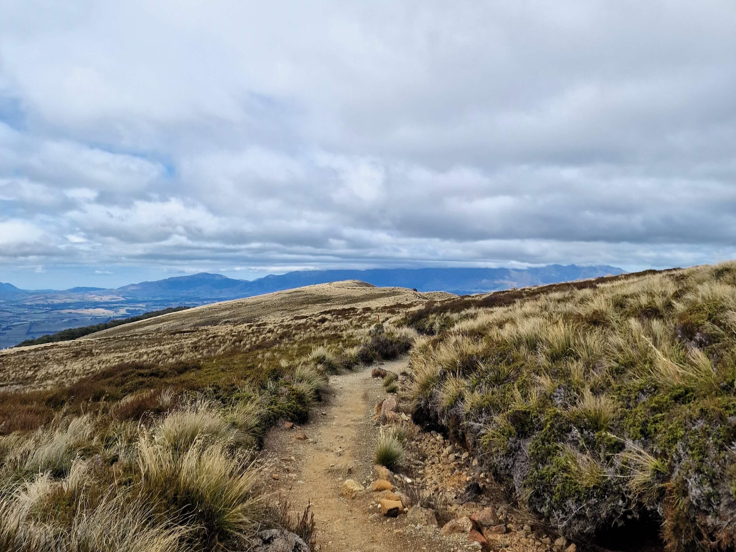 Kepler Track to Luxmore Hut: Ultimate Day Hike Guide (2024)