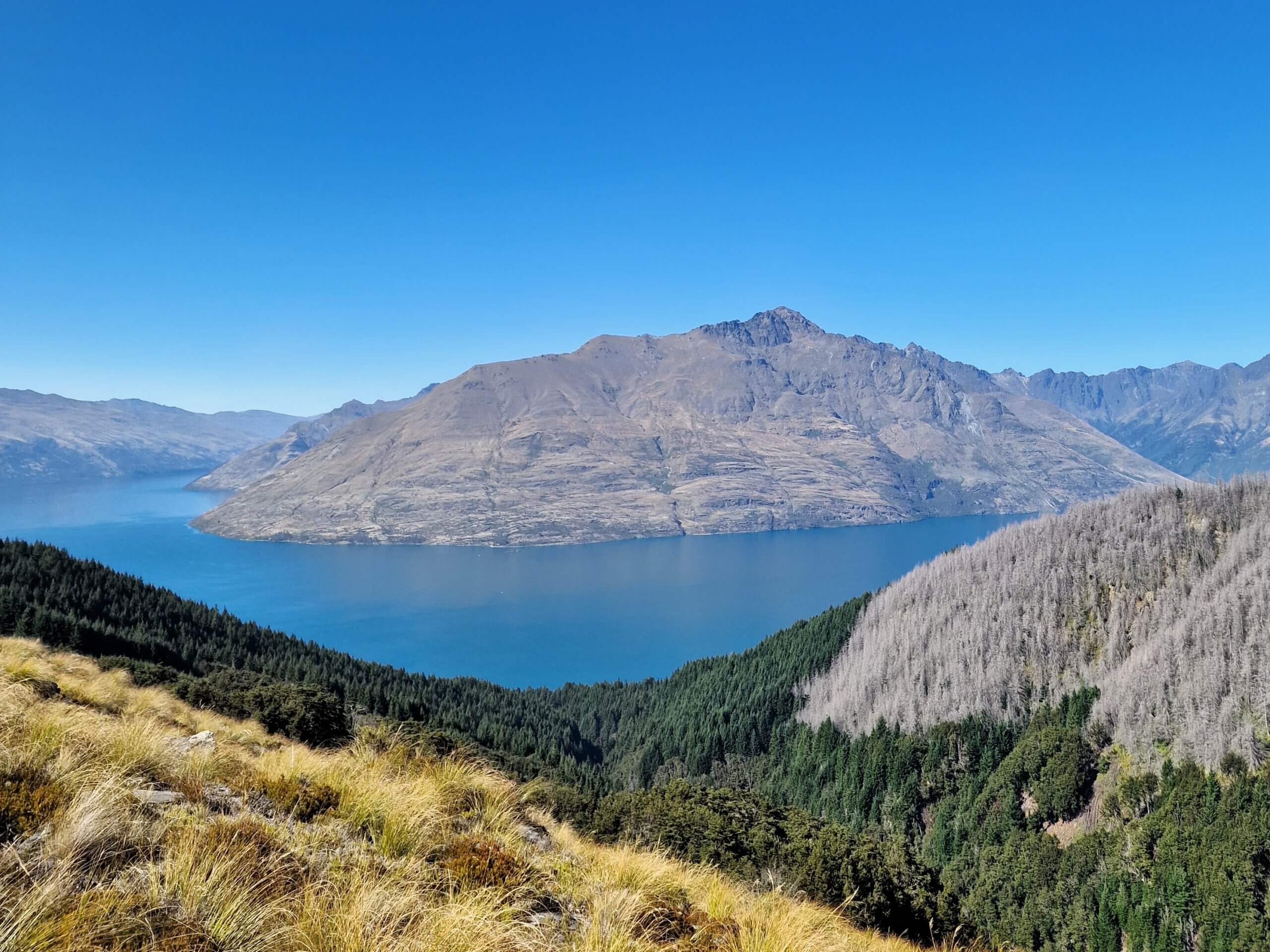 Ben Lomond Track in Queenstown: Ultimate Hiking Guide (2024)