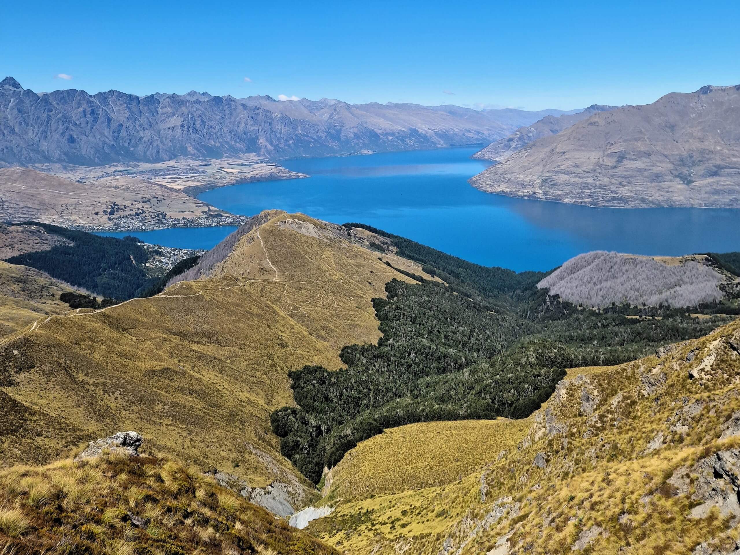 Ben Lomond Track in Queenstown: Ultimate Hiking Guide (2024)