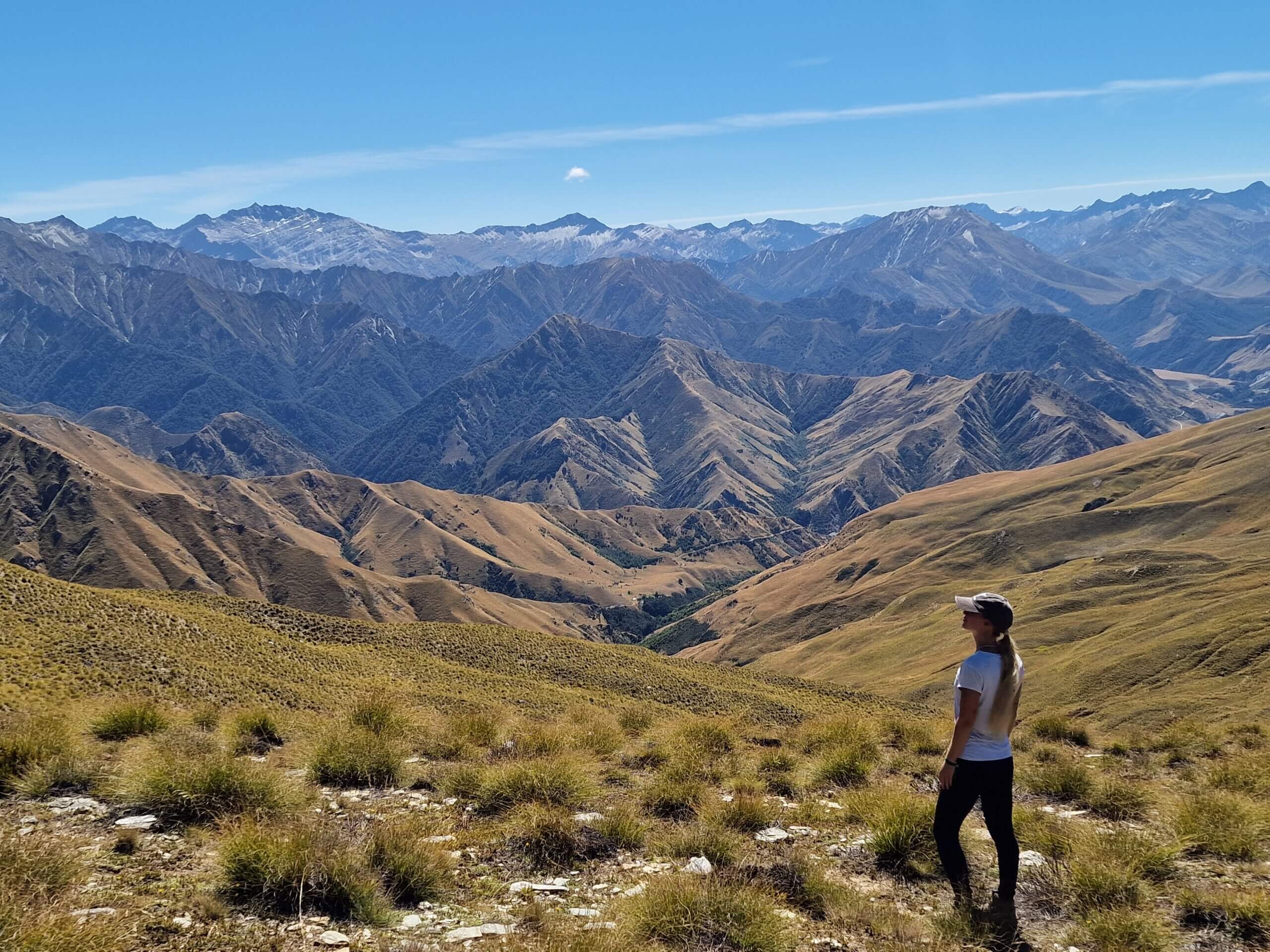 Ben Lomond Track in Queenstown: Ultimate Hiking Guide (2024)