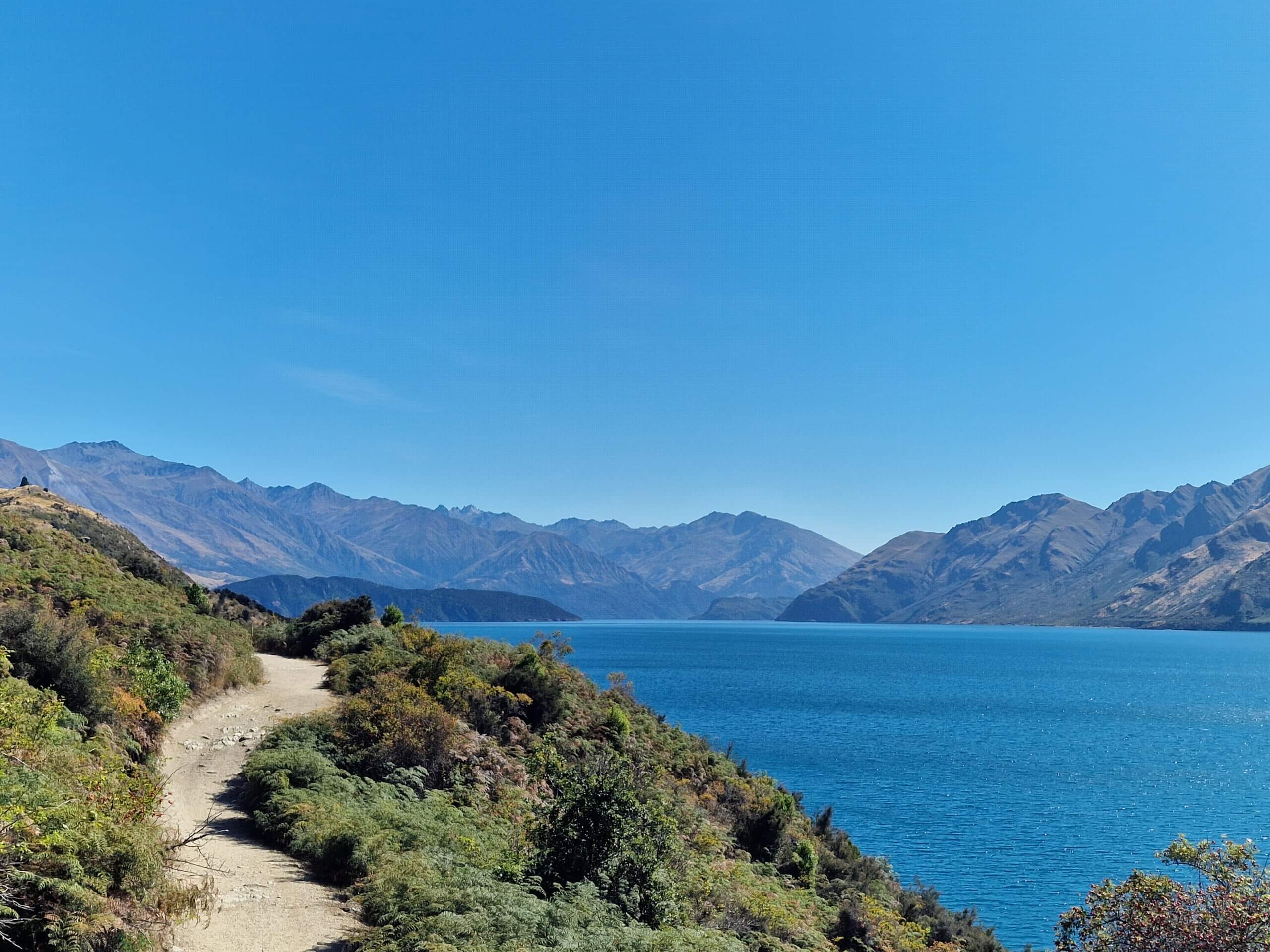 Roys Peak Track: Ultimate Hiking Guide (2024)