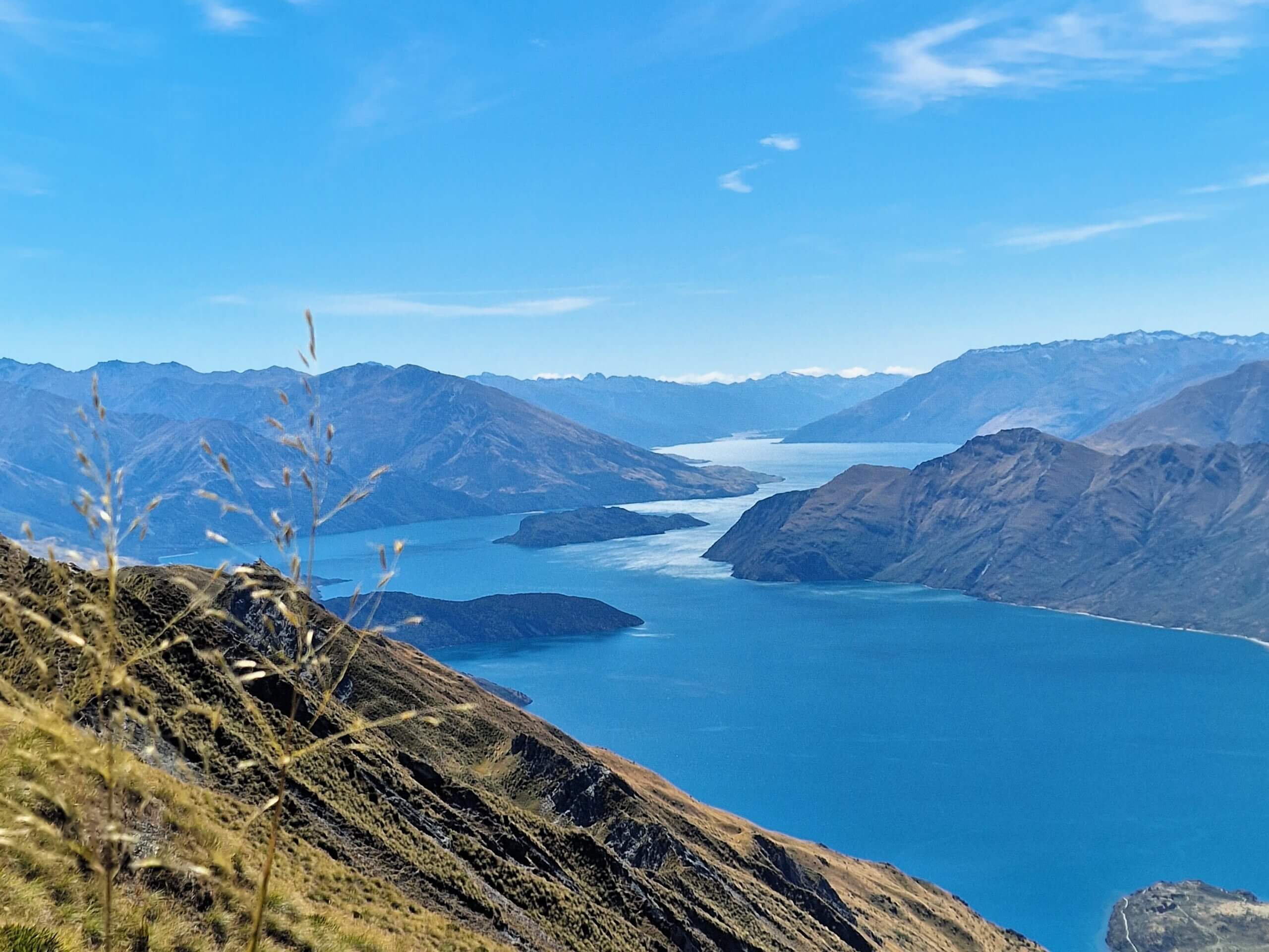 Roys Peak Track: Ultimate Hiking Guide (2024)