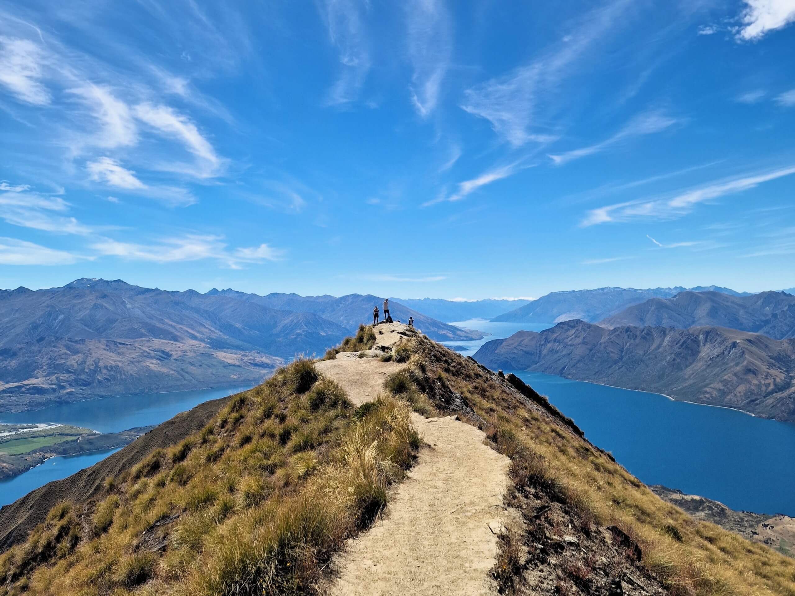 Roys Peak Track: Ultimate Hiking Guide (2024)