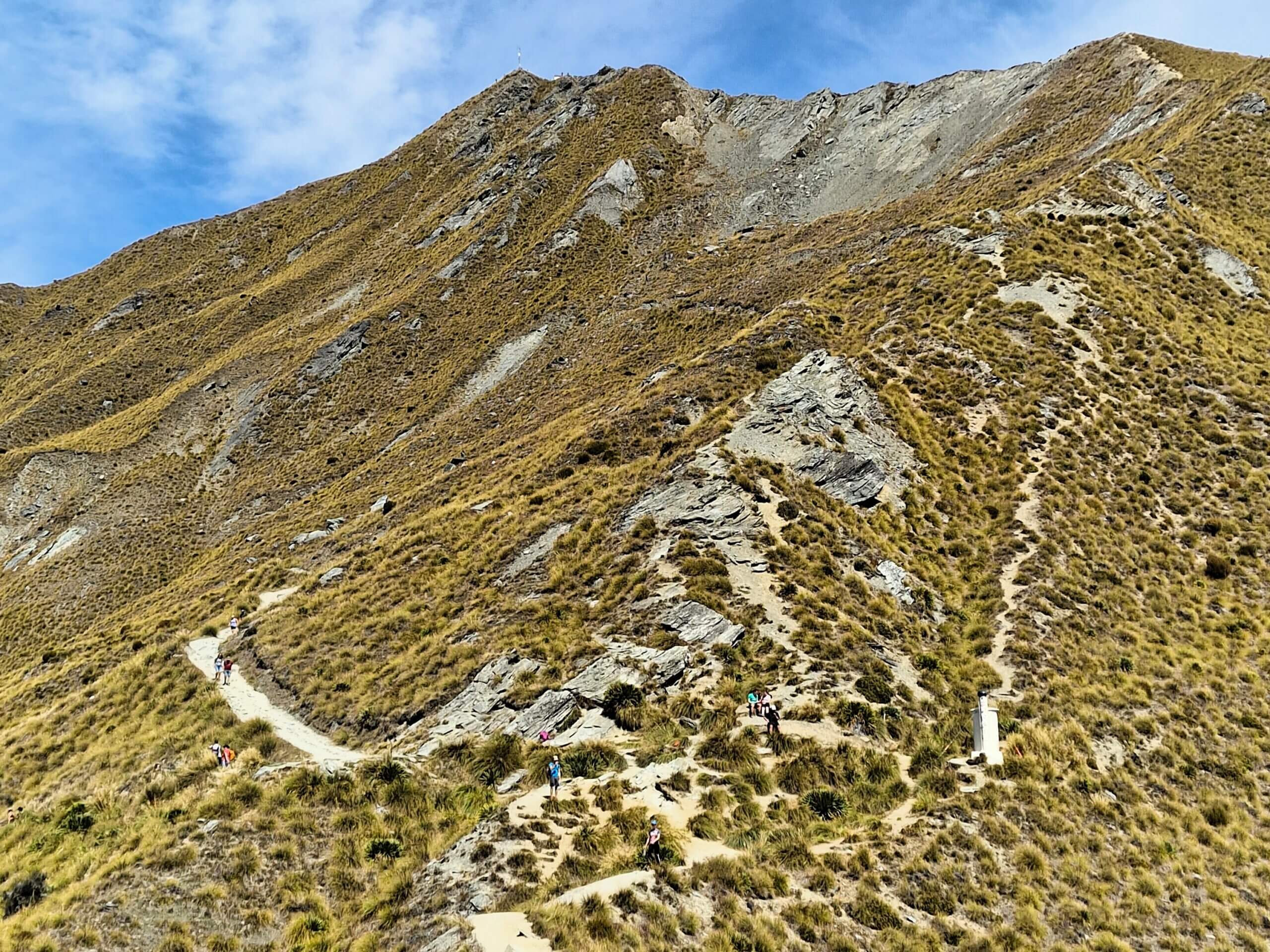 Roys Peak Track: Ultimate Hiking Guide (2024)