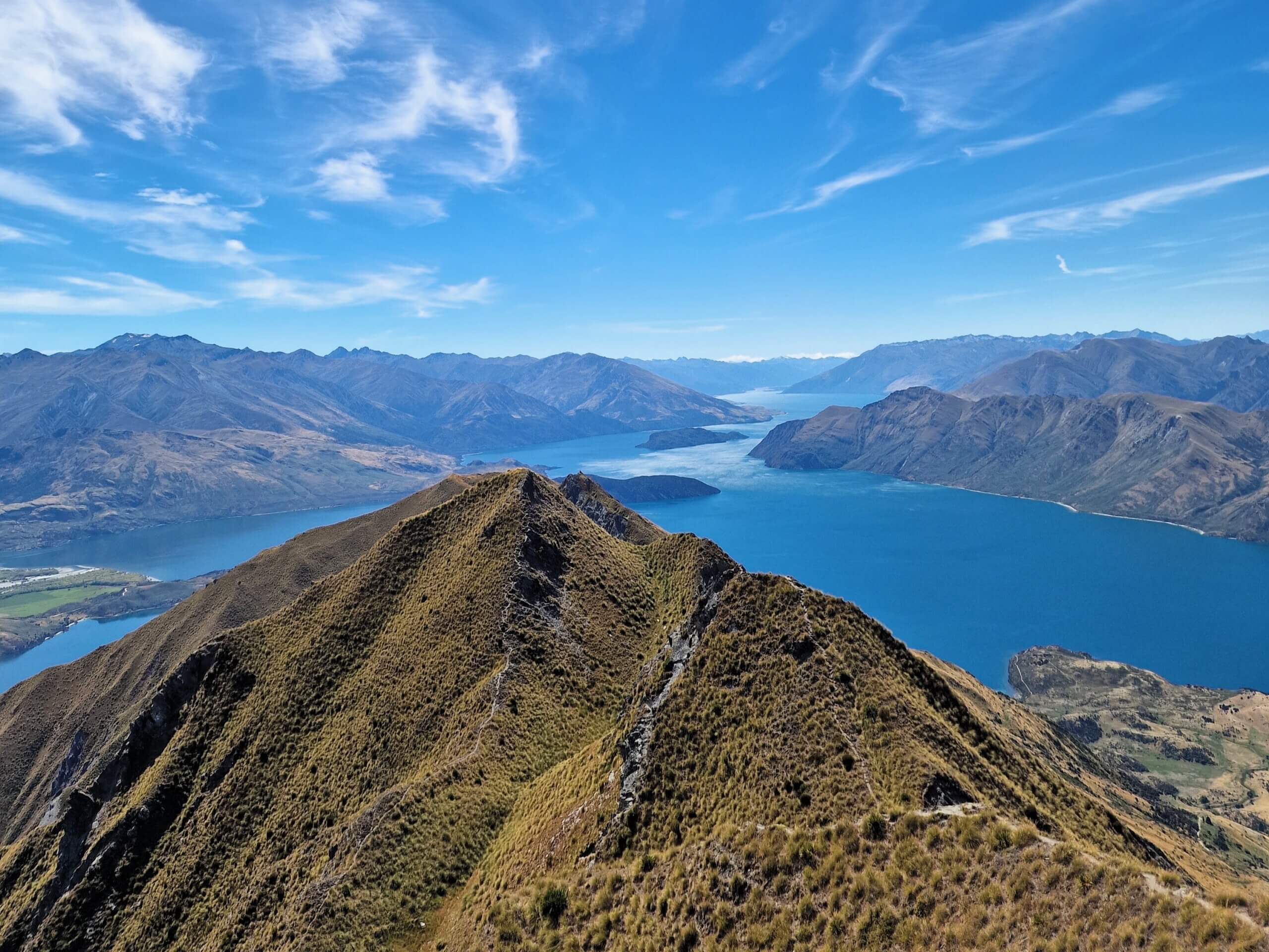 Roys Peak Track: Ultimate Hiking Guide (2024)