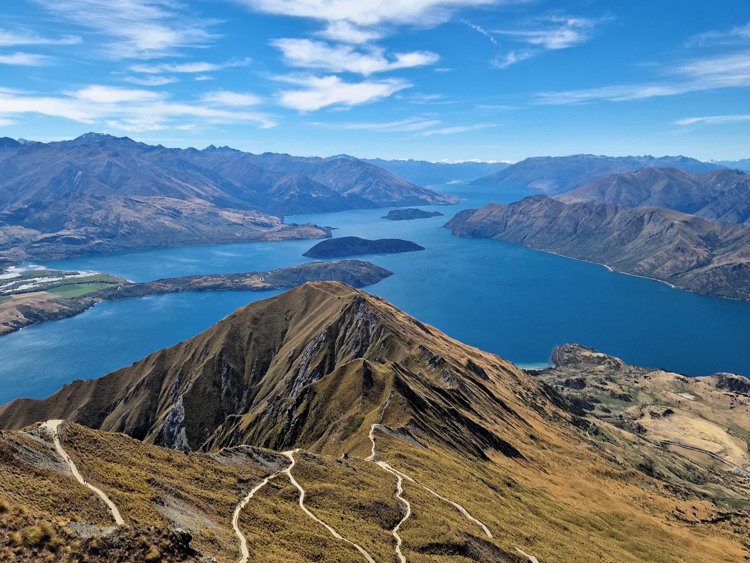 Roys Peak Track: Ultimate Hiking Guide (2024)