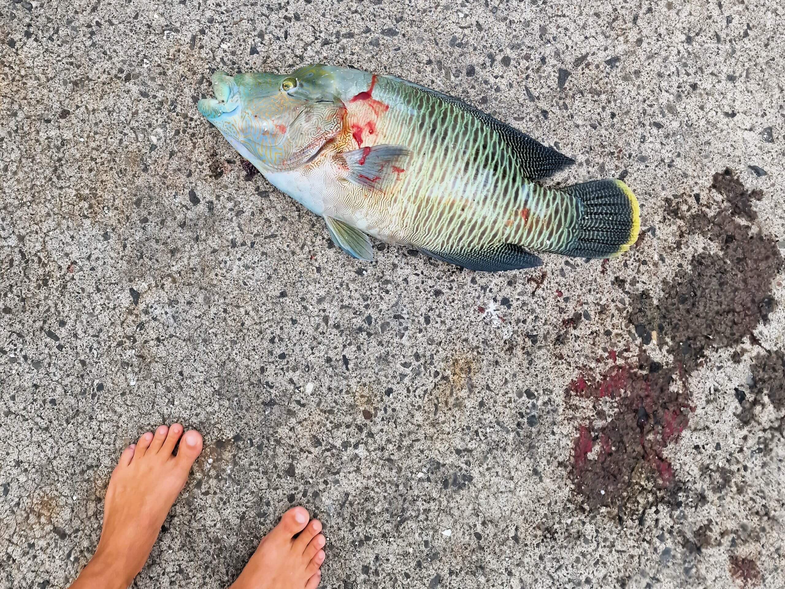 Life of Rainui: A touching tale from Makemo, French Polynesia