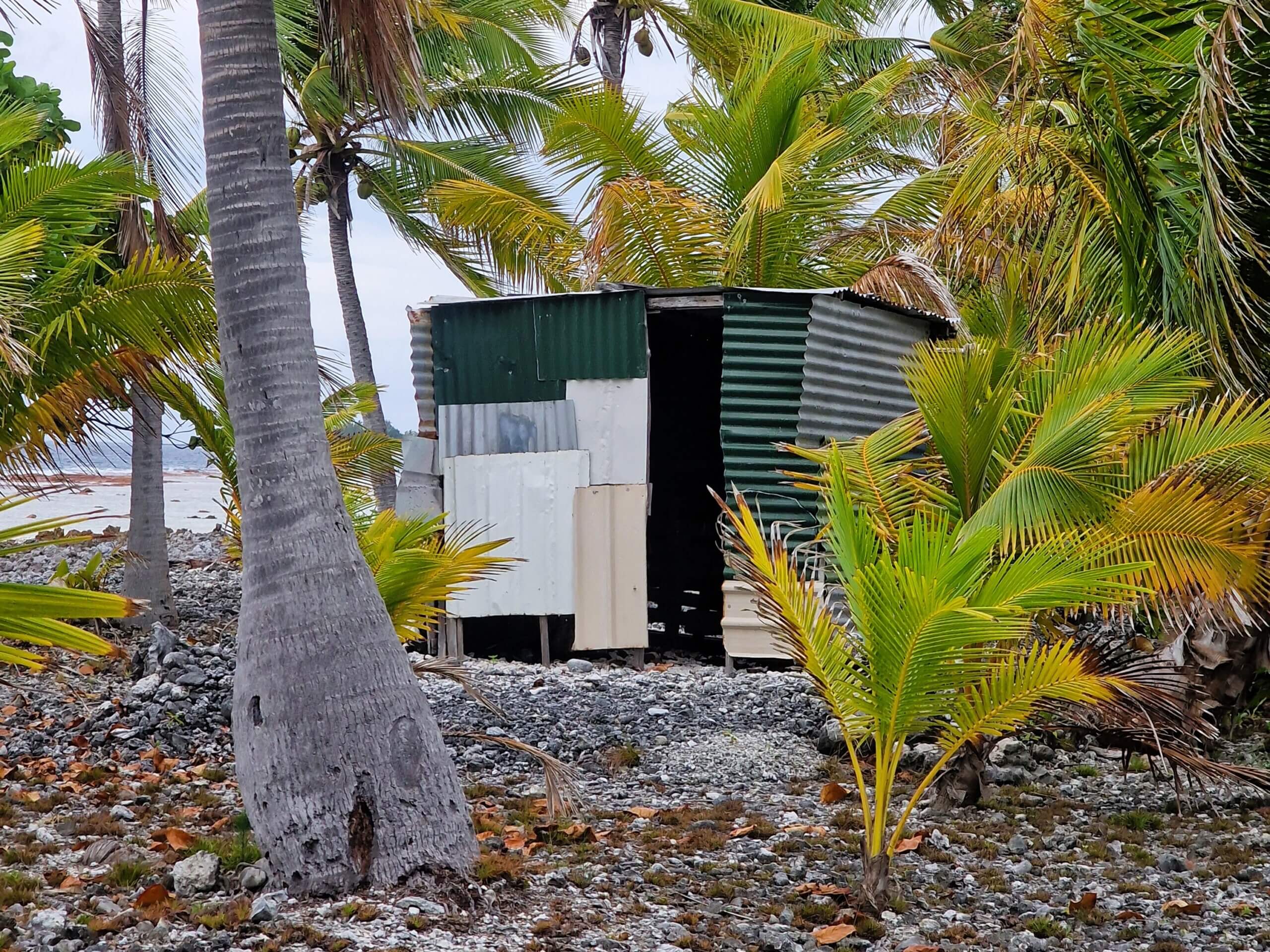 Life of Rainui: A touching tale from Makemo, French Polynesia