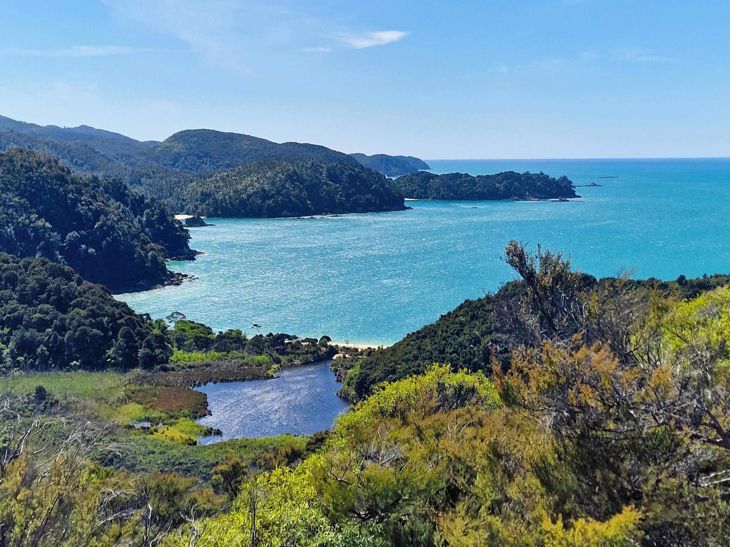 Abel Tasman Coast Track (2024): Solo Hiker's Guide