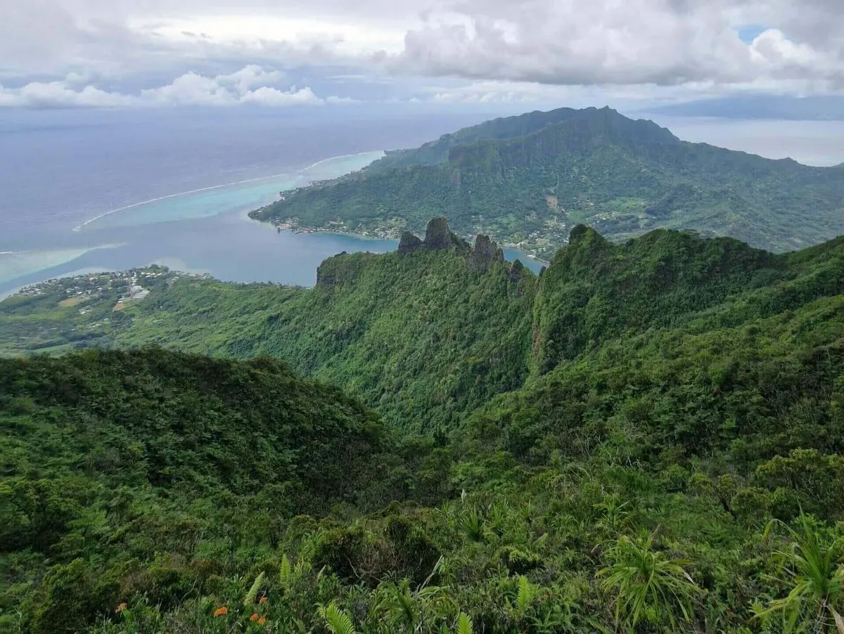 View overlooking Cook's Bay from the Mount Rotui trail - the ultimate hike in Moorea