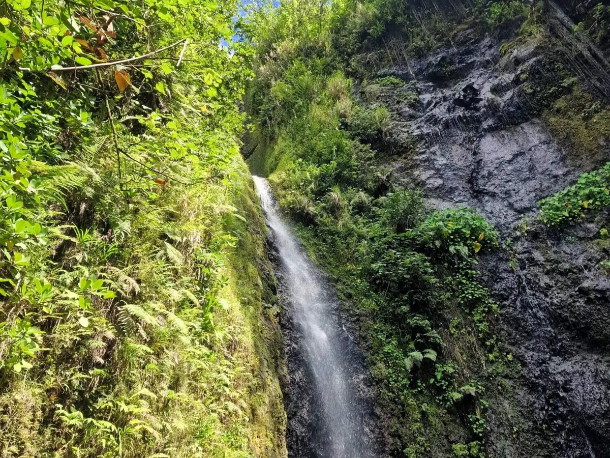 Best Hiking Trail in Raiatea: Chasing The Three Waterfalls