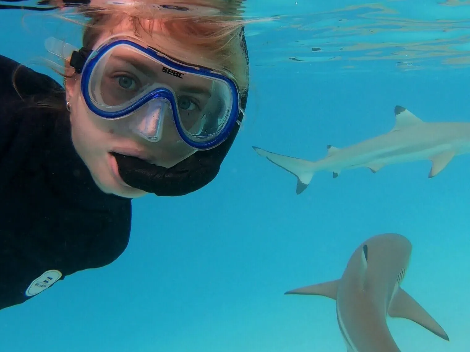 Sara swimming with reef sharks at the famous snorkeling spot in Moorea, French Polynesia