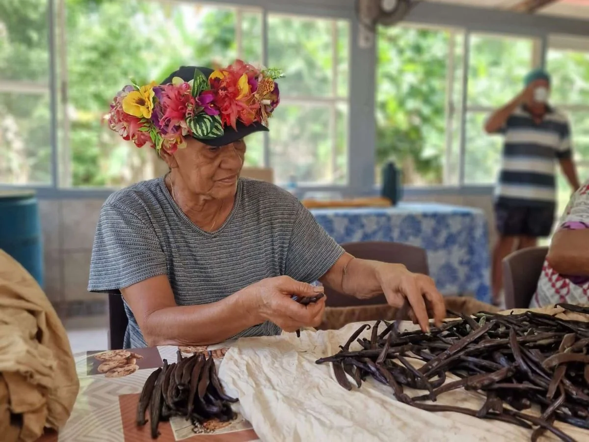 A Polynesian woman working with vanilla on the island of Taha'a in French Polynesia