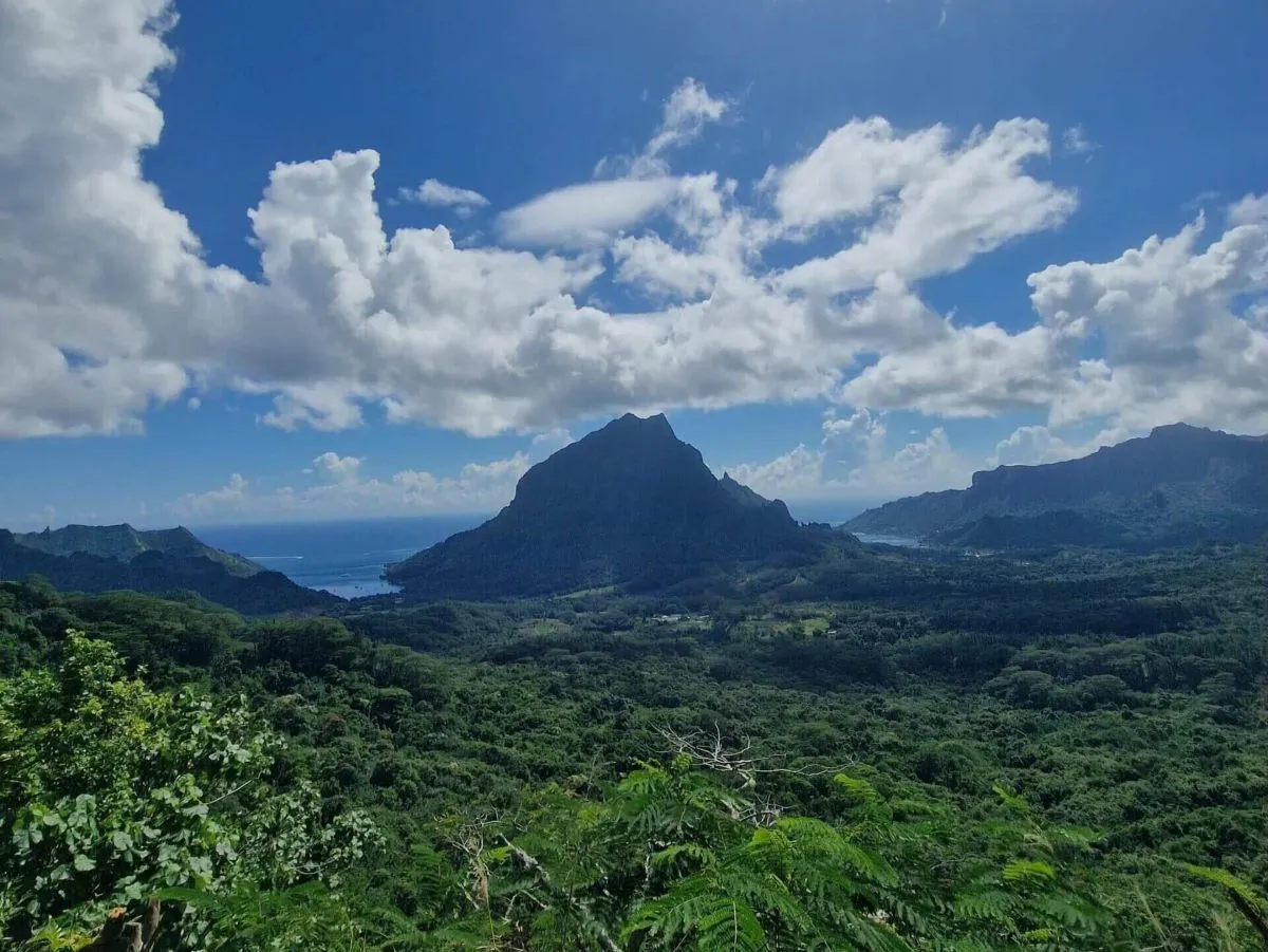 View of Opunohu Bay and Cook's bay from the viewpoint on the Three Coconut's Pass hiking trail in Moorea
