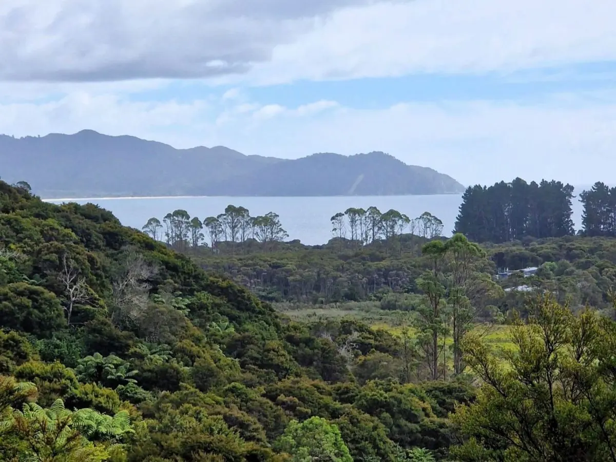 Nature on the Abel Tasman Coast Track - One of New Zealand's Great Walks