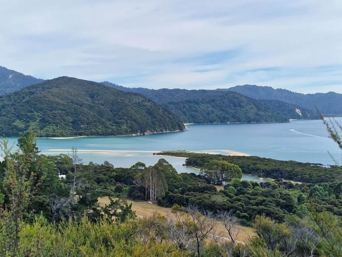 Abel Tasman Coast Track: A Solo Female Guide + Budget (2026)