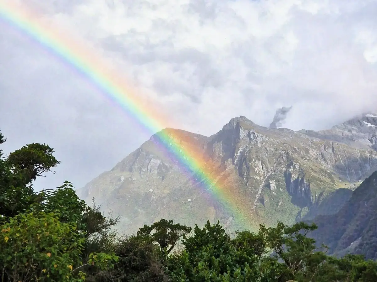 A rainbow on the Copland Track to Welcome Flat Hut: Everything You Need To Know For 2026