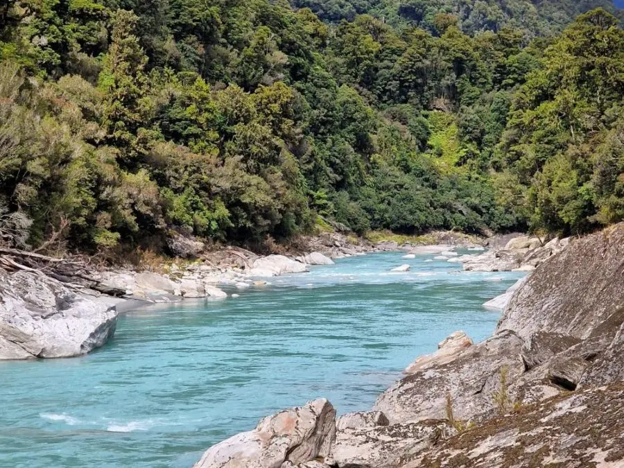 Rough Creek on the Copland Track to Welcome Flat Hut trail on the West Coast of New Zealand