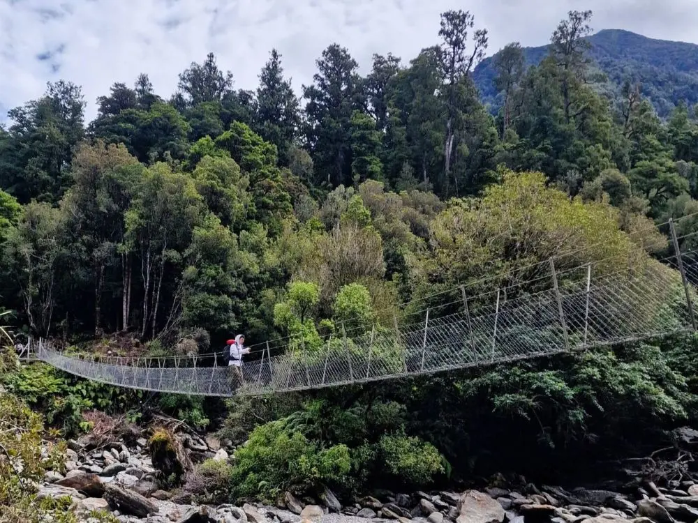 A swing bridge on the Copland Track to Welcome Flat Hut: Everything You Need To Know For 2026