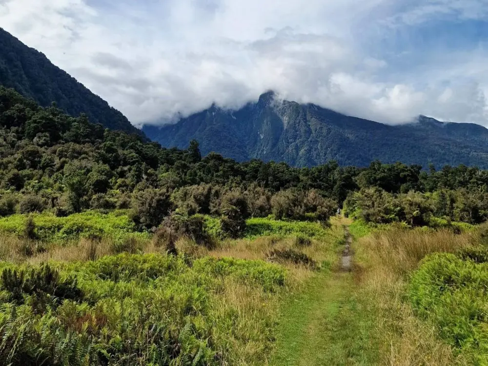 Walking along the Copland Track leading to the Welcome Flat Hut with the famous Hot Pools