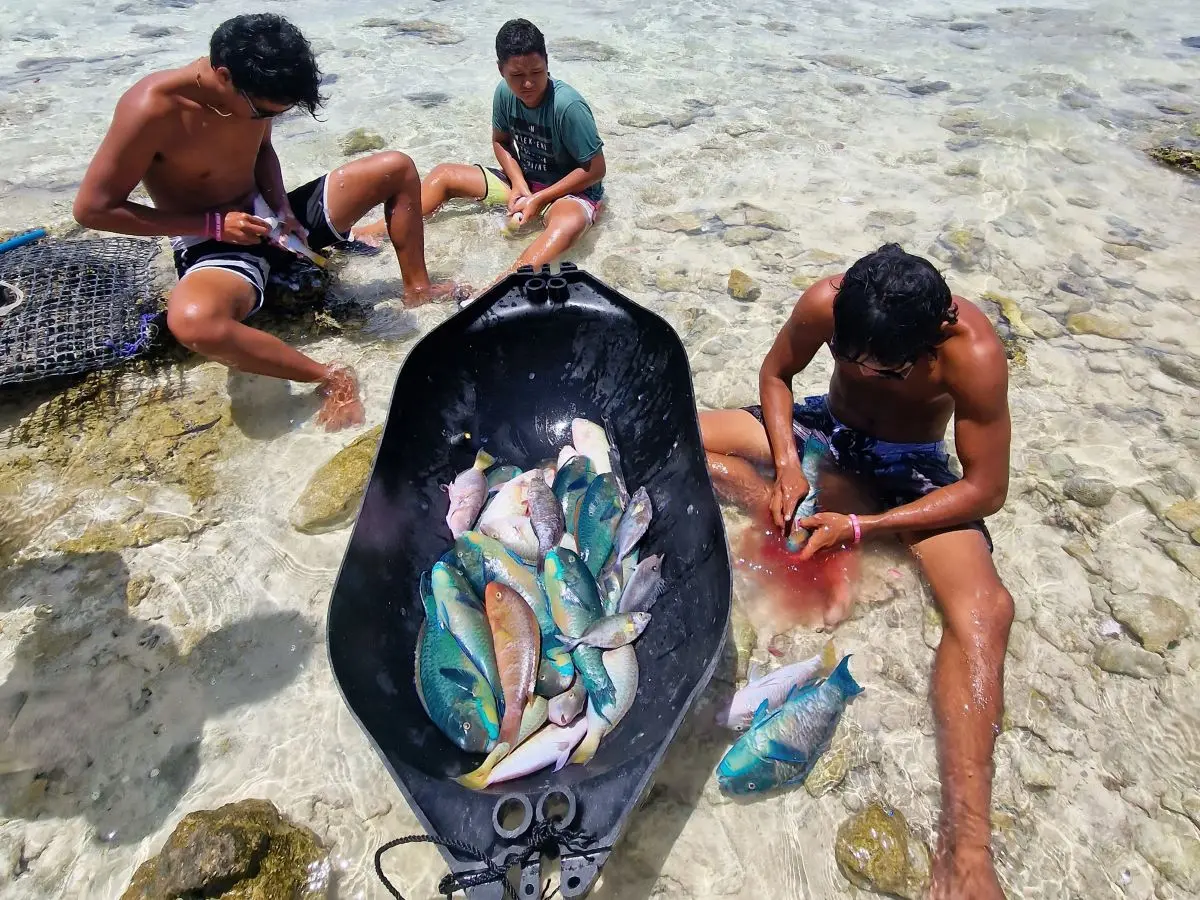Rainui and two of his friends working with fish on the atoll of Makemo in French Polynesia