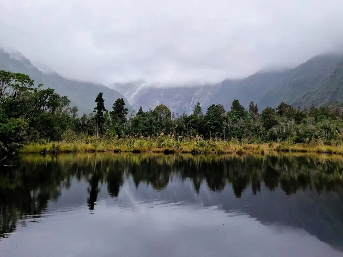 Peter's Pool—a reflective lake—near the Franz Josef Glacier