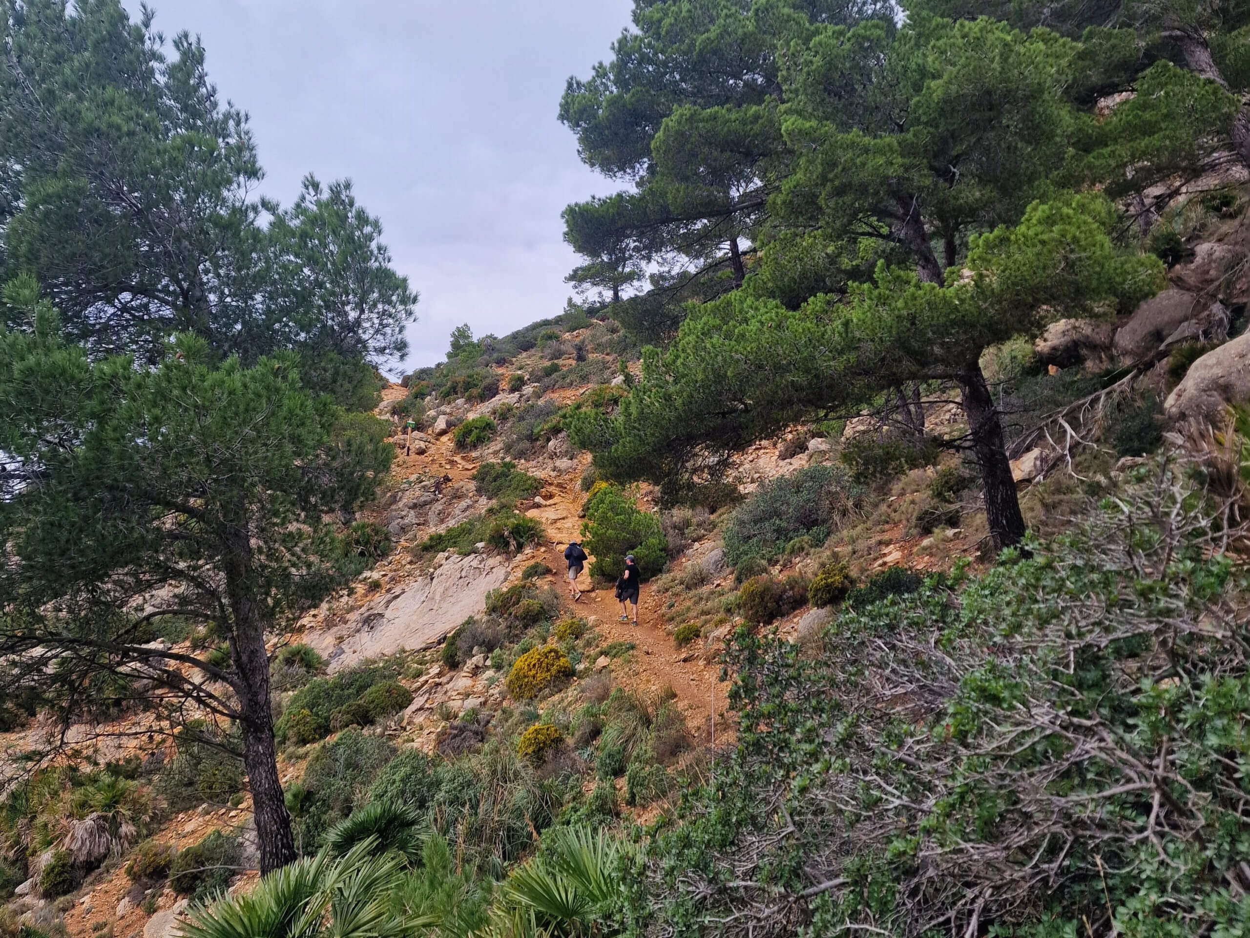 La Trapa Hiking Trail: Epic Coastal Hike, Mallorca
