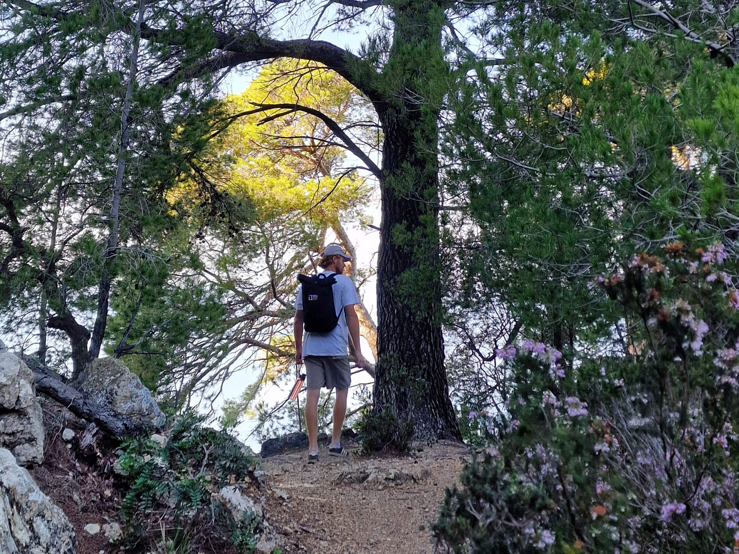 Caló de S’Estaca Coastal Hike Near Valldemossa, Mallorca