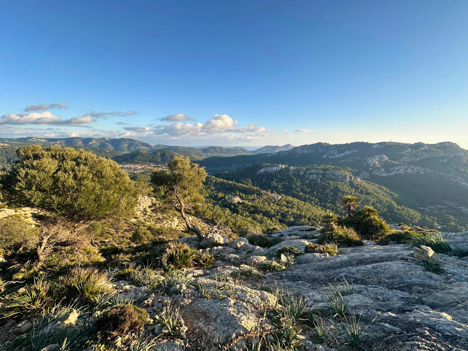 My Favorite Short Hike Near Andratx, Mallorca