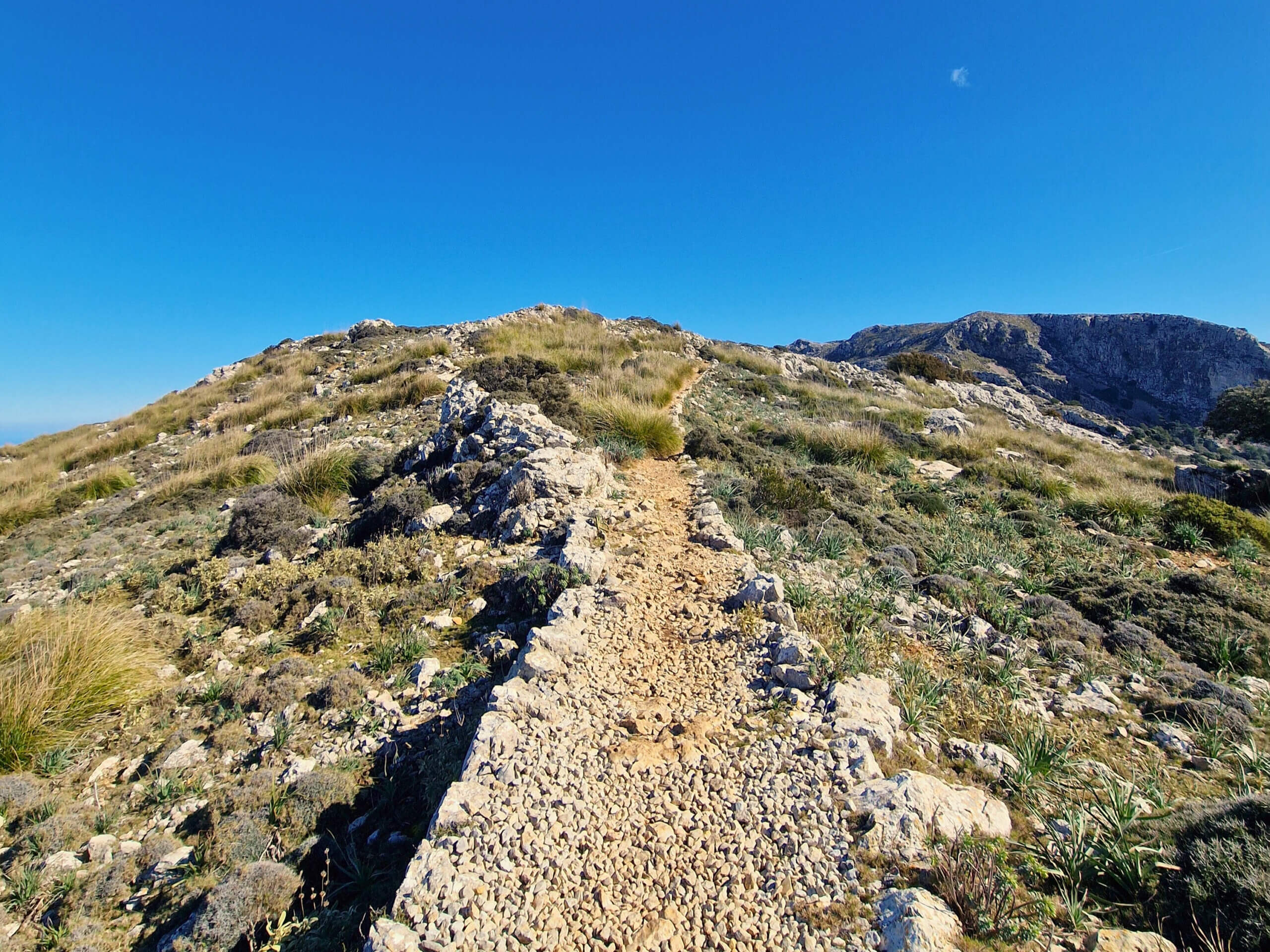 The Archduke's Trail: Must-Do Mallorca Hike from Valldemossa