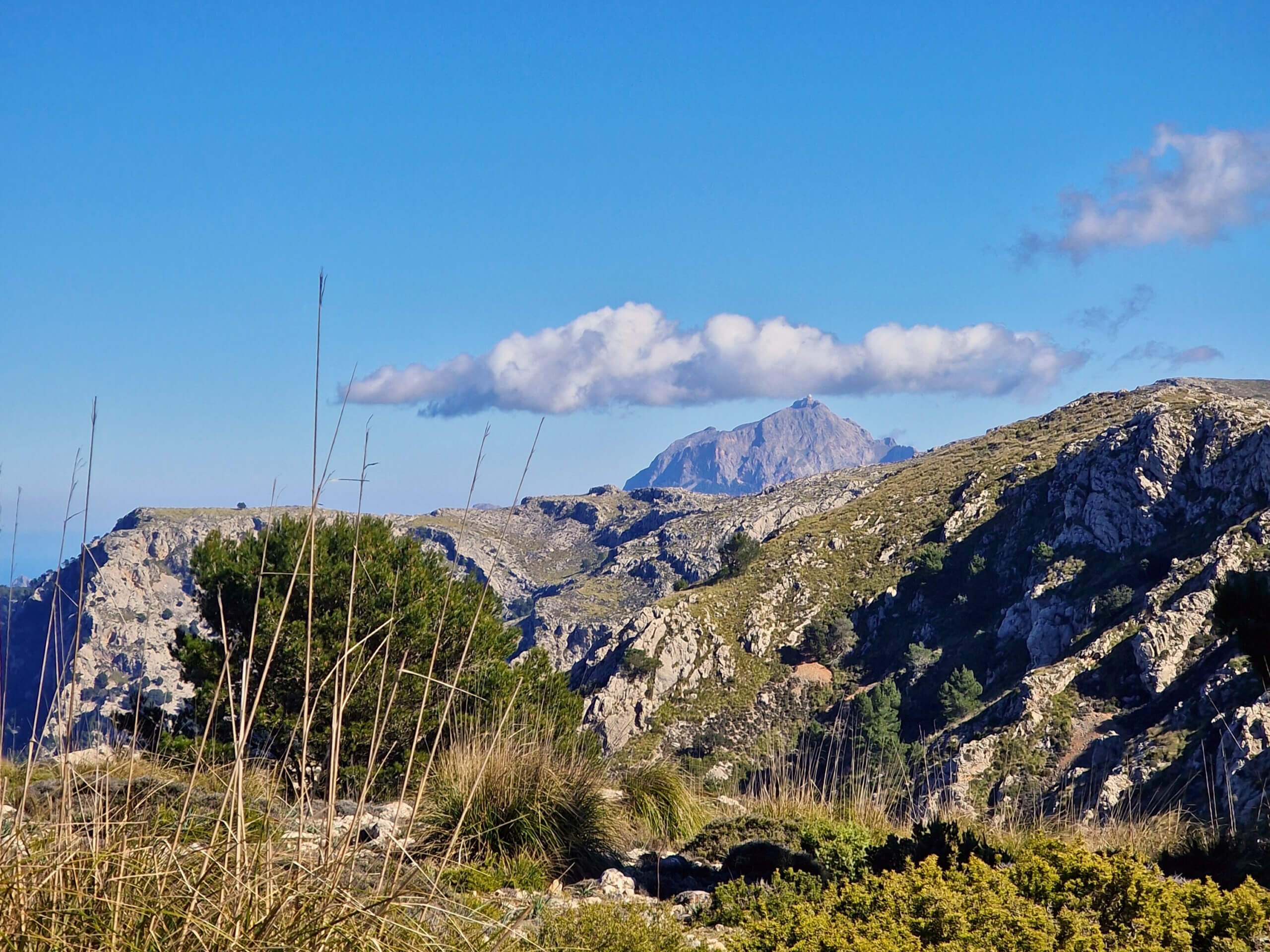 The Archduke’s Trail: Must-Do Mallorca Hike from Valldemossa