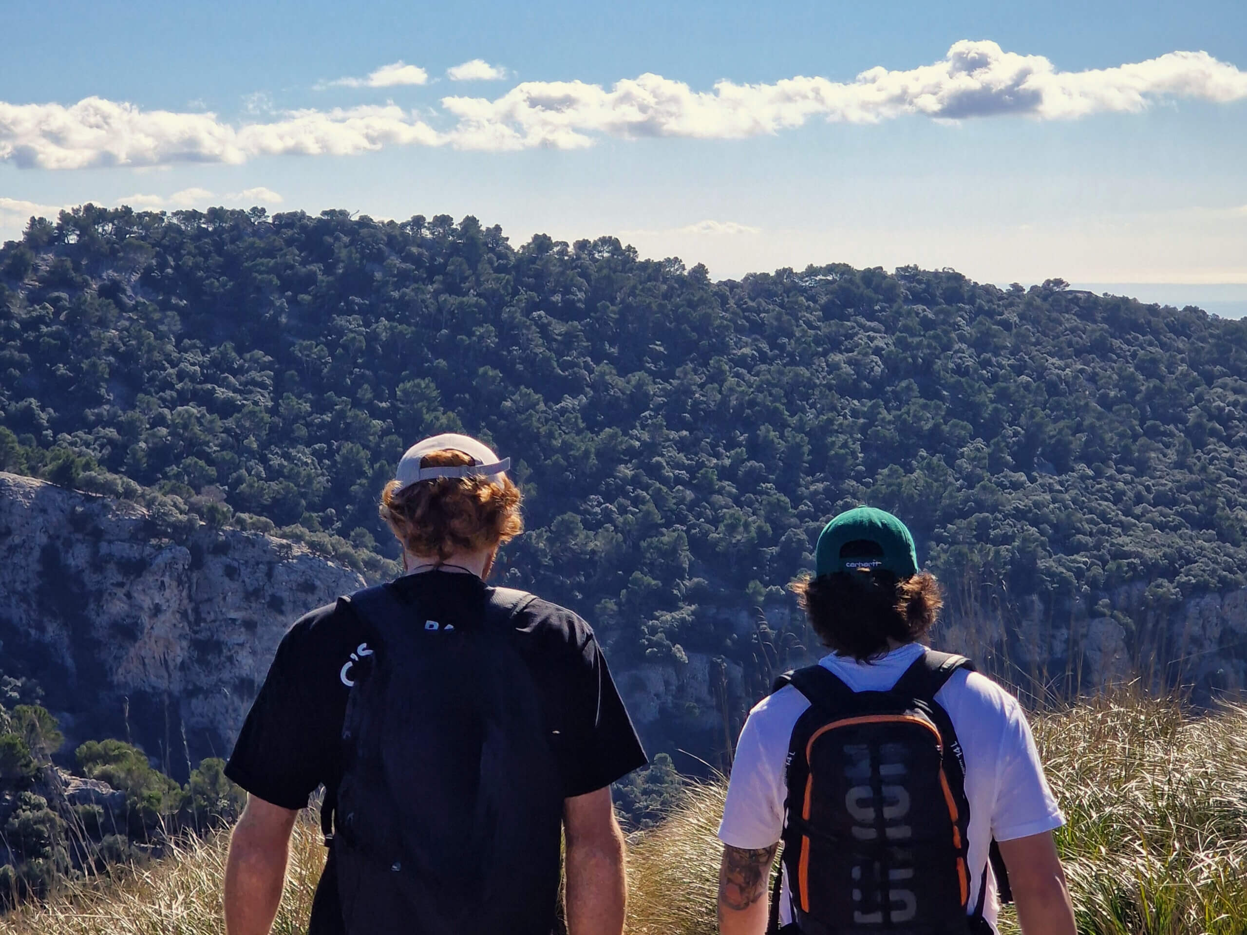 The Archduke's Trail: Must-Do Mallorca Hike from Valldemossa