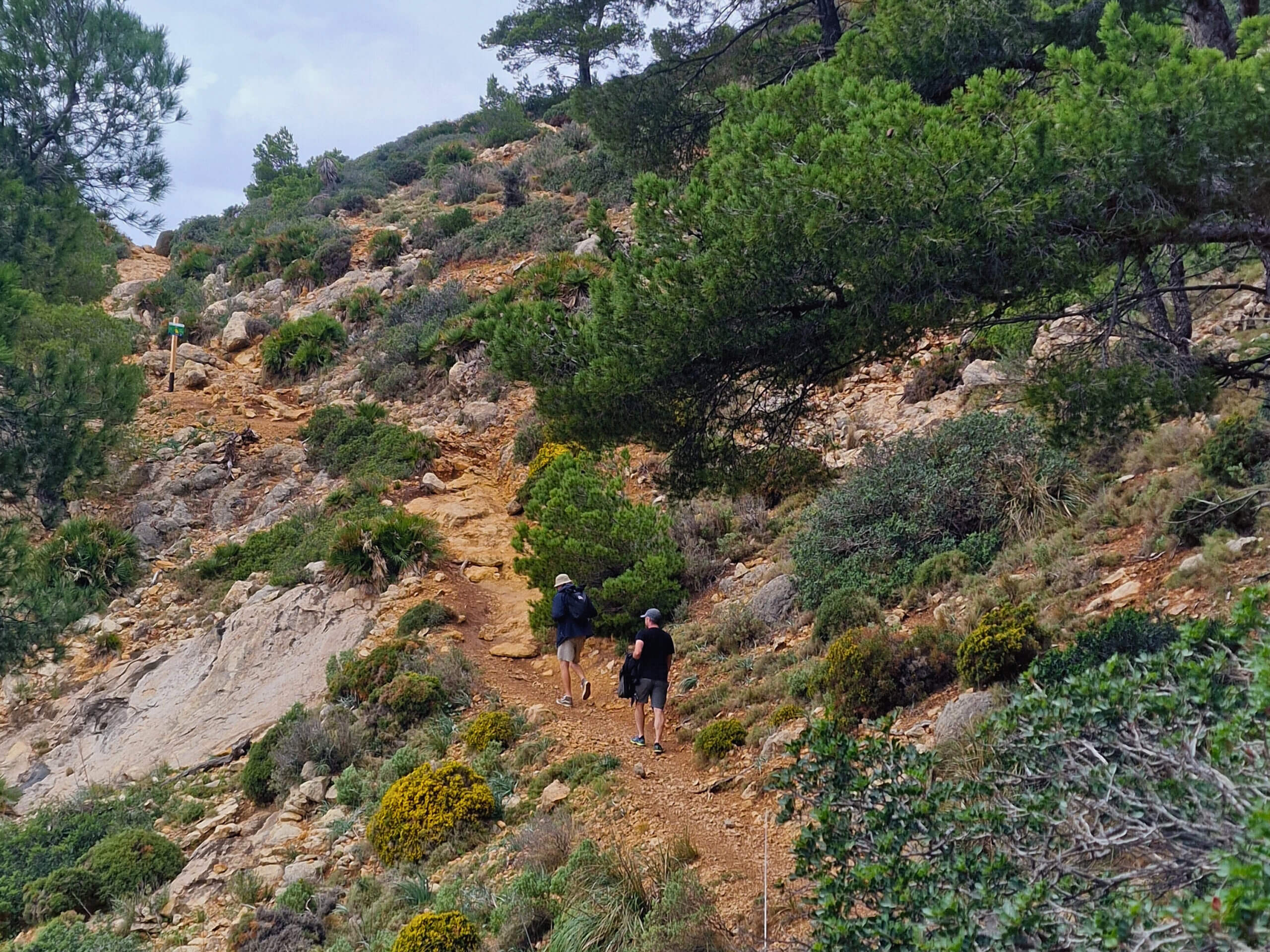 La Trapa Hiking Trail: Epic Coastal Hike, Mallorca