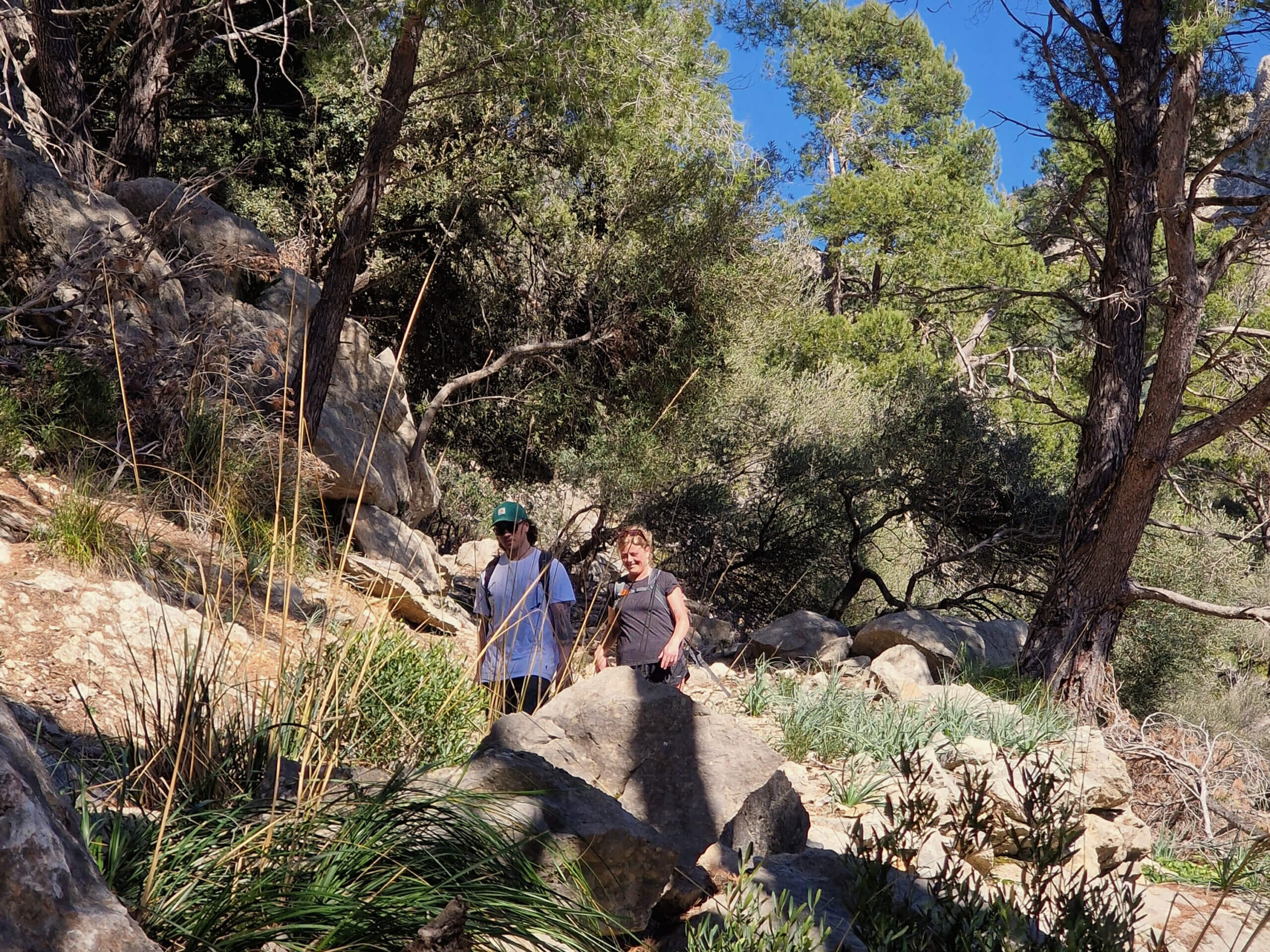 The Archduke's Trail: Must-Do Mallorca Hike from Valldemossa
