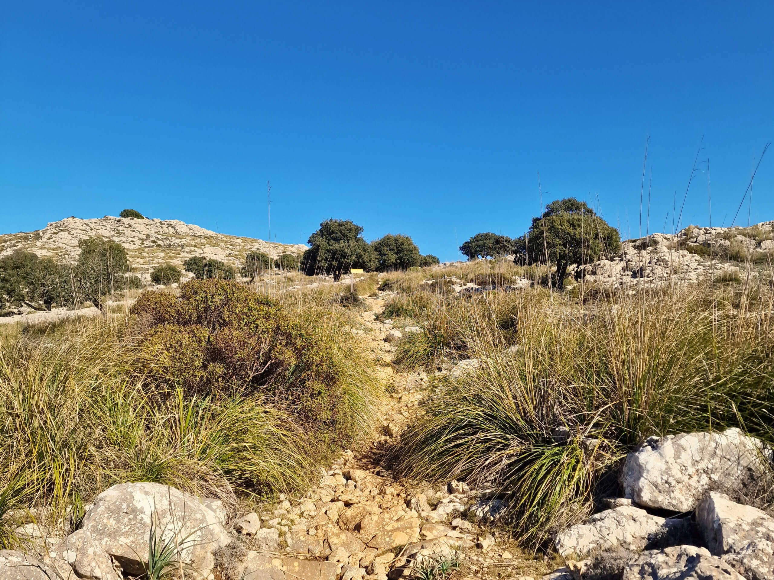 The Archduke's Trail: Must-Do Mallorca Hike from Valldemossa