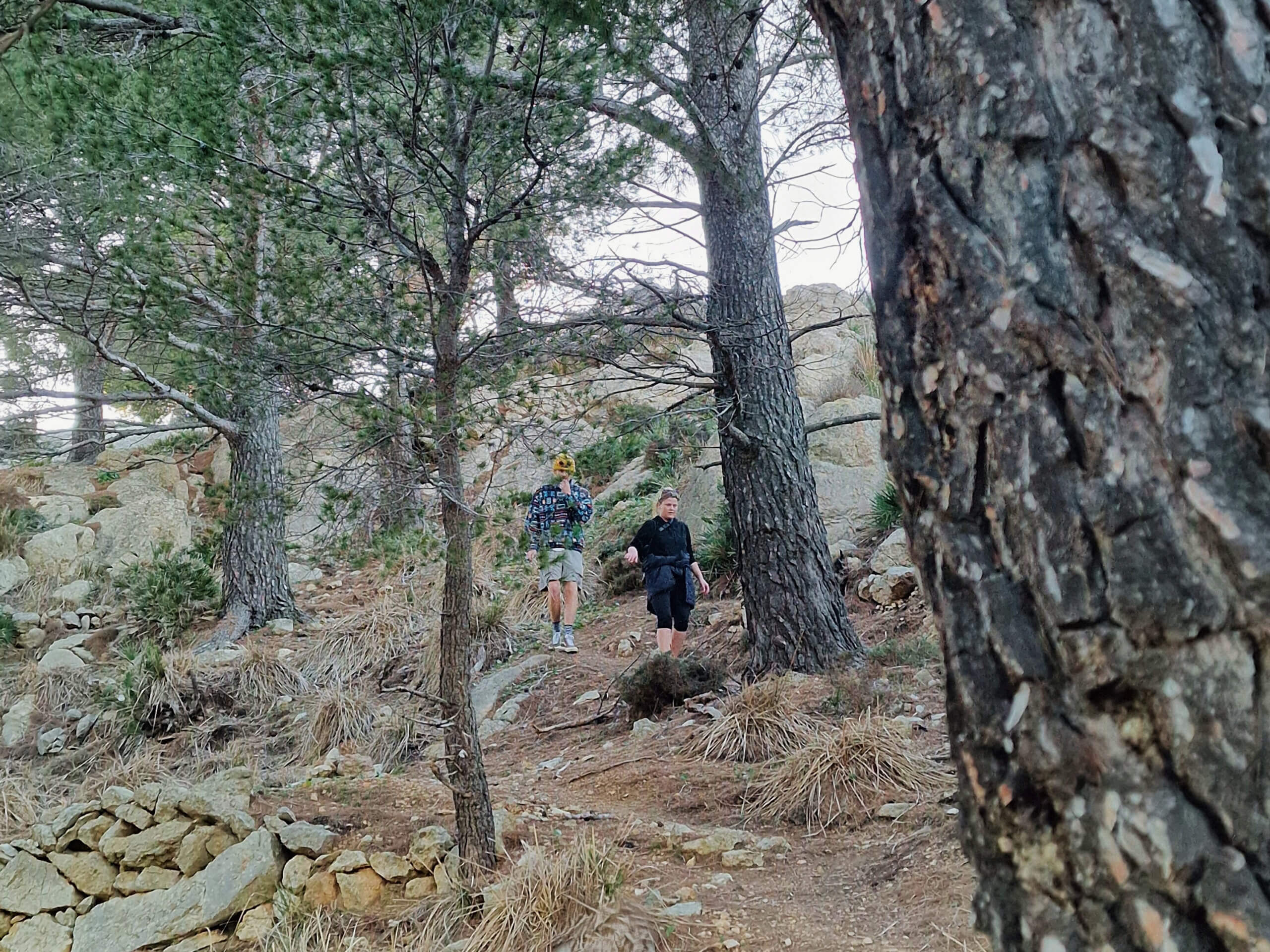 My Favorite Short Hike Near Andratx, Mallorca