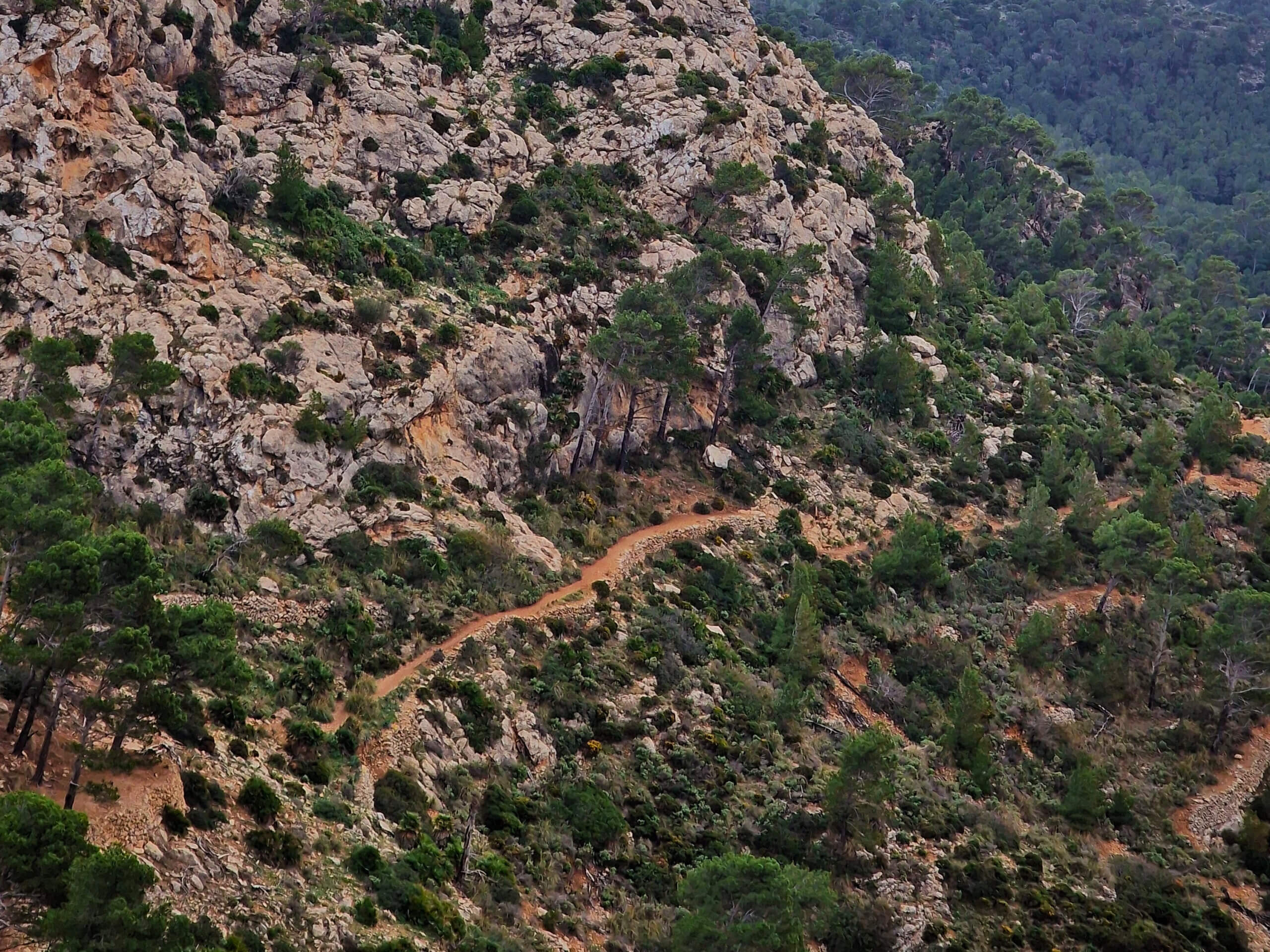 La Trapa Hiking Trail: Epic Coastal Hike, Mallorca