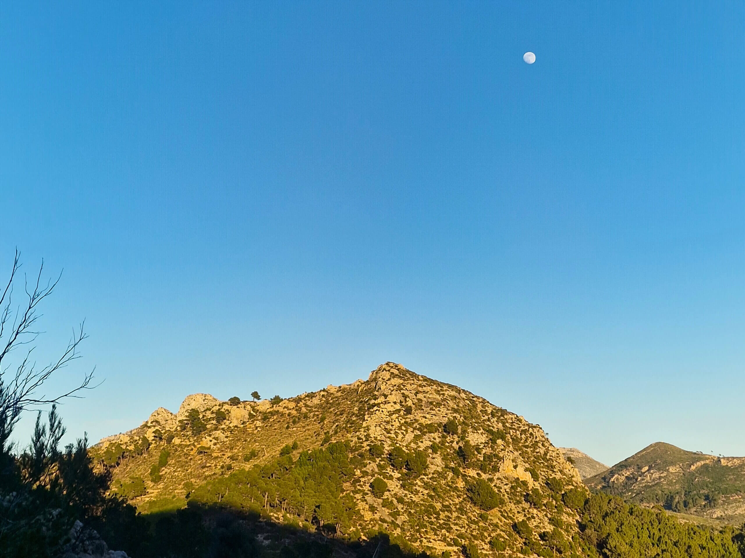 My Favorite Short Hike Near Andratx, Mallorca