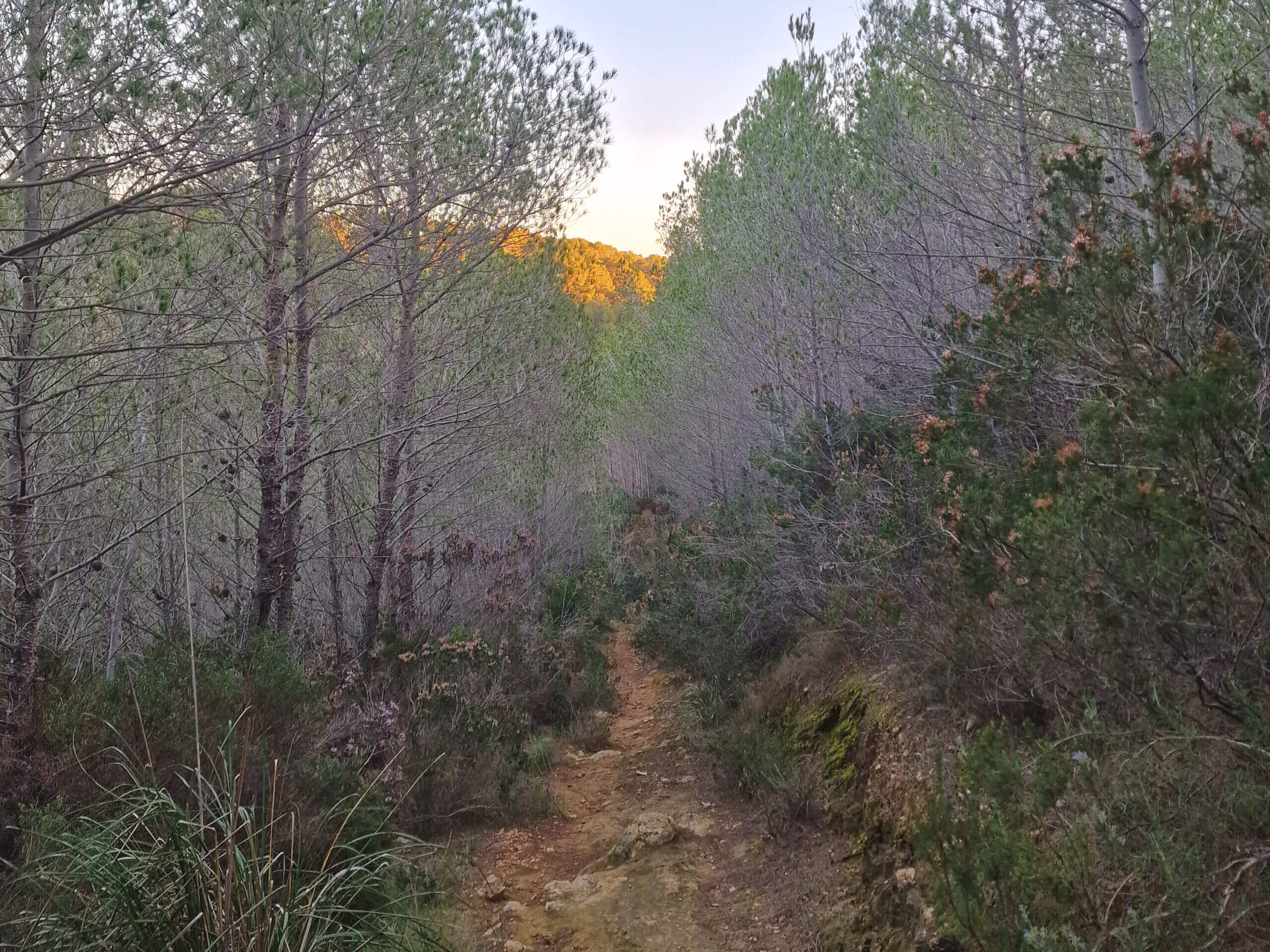 My Favorite Short Hike Near Andratx, Mallorca