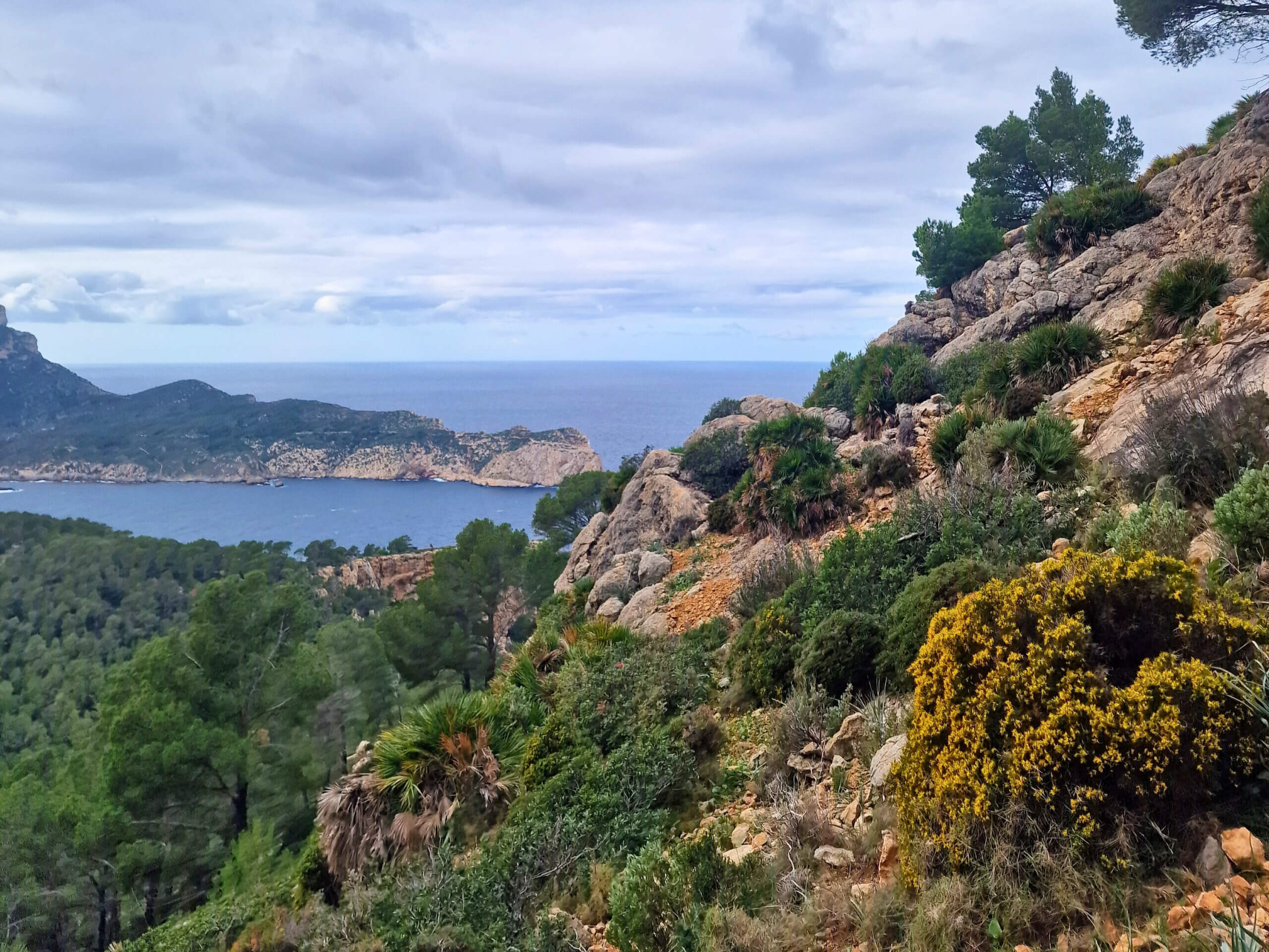 La Trapa Hiking Trail: Epic Coastal Hike, Mallorca